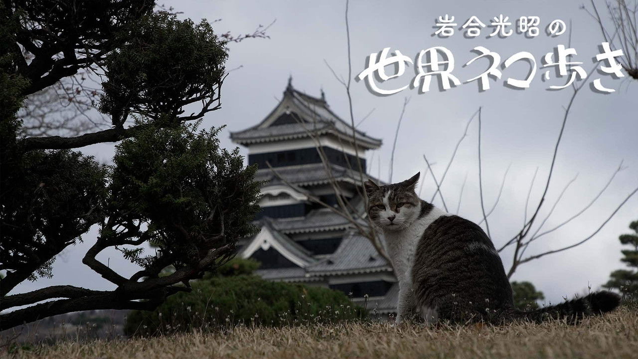 岩合光昭の世界ネコ歩き — Épisode 154