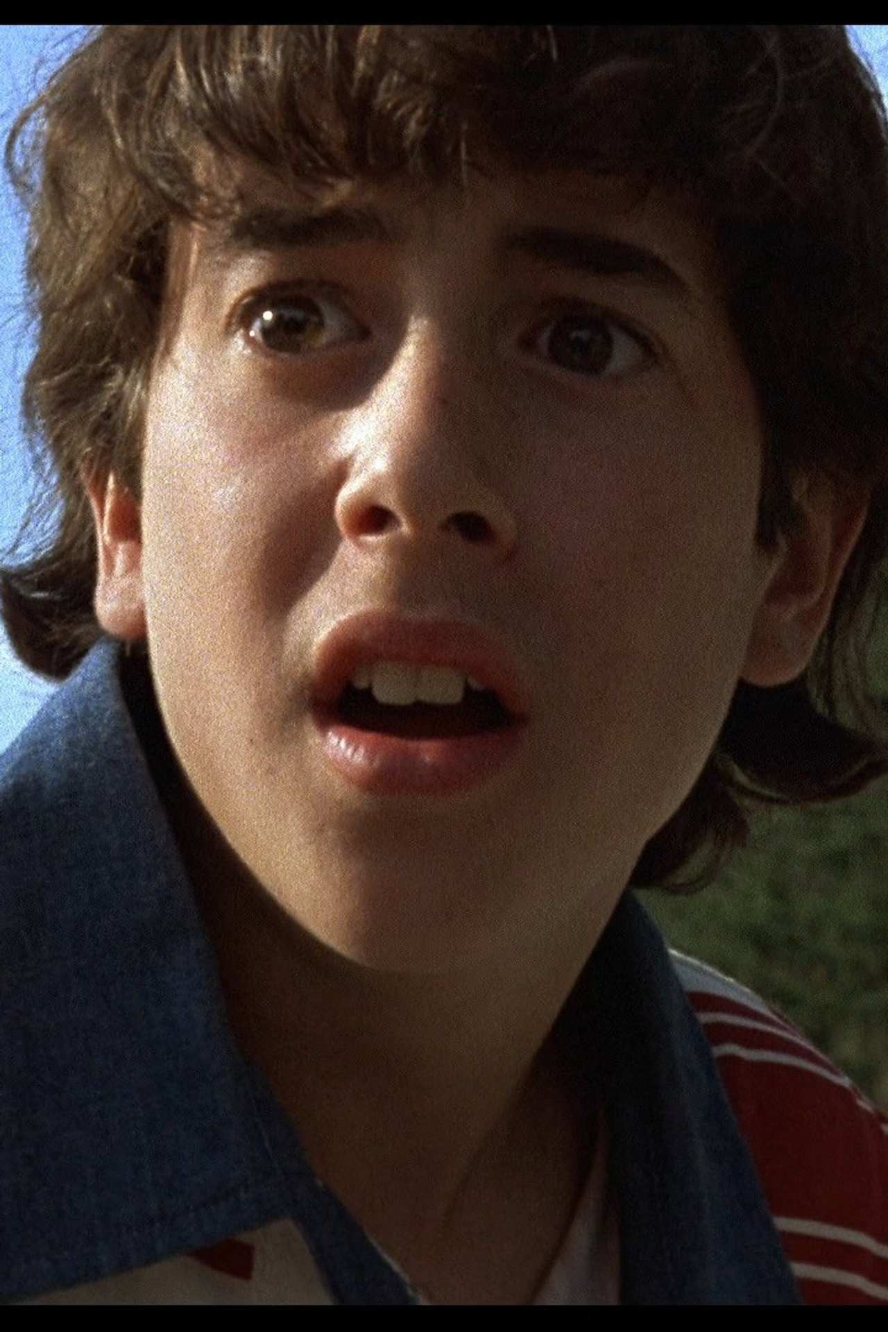 Andrew Sardella