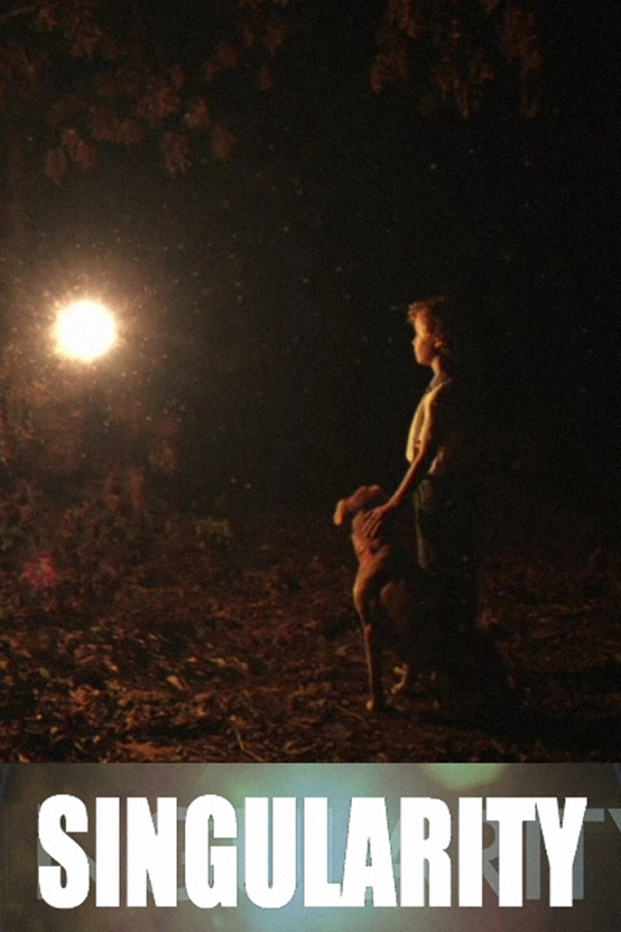 Singularity filmaffisch