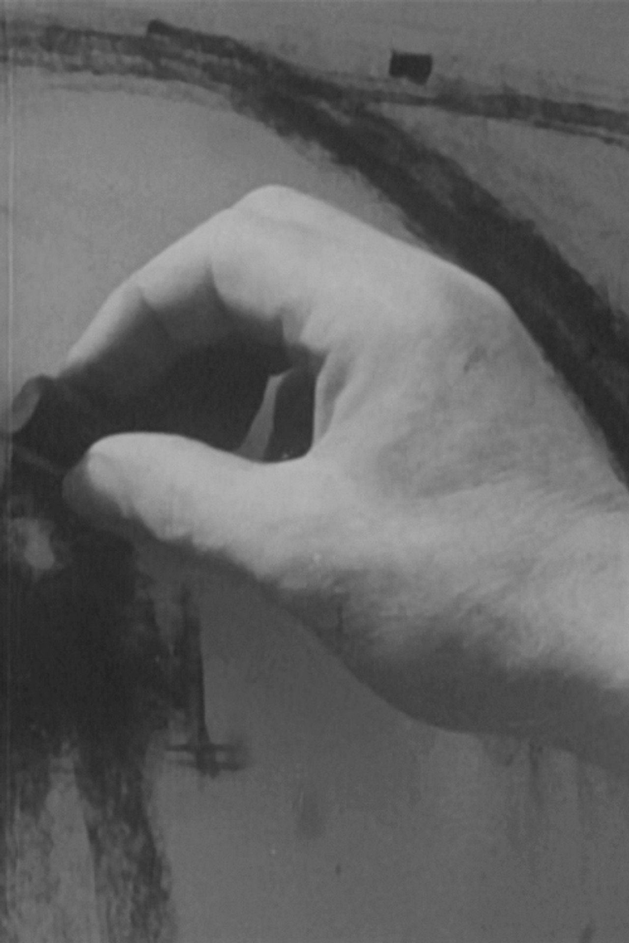 O Porto, Escola de Artistas filmaffisch
