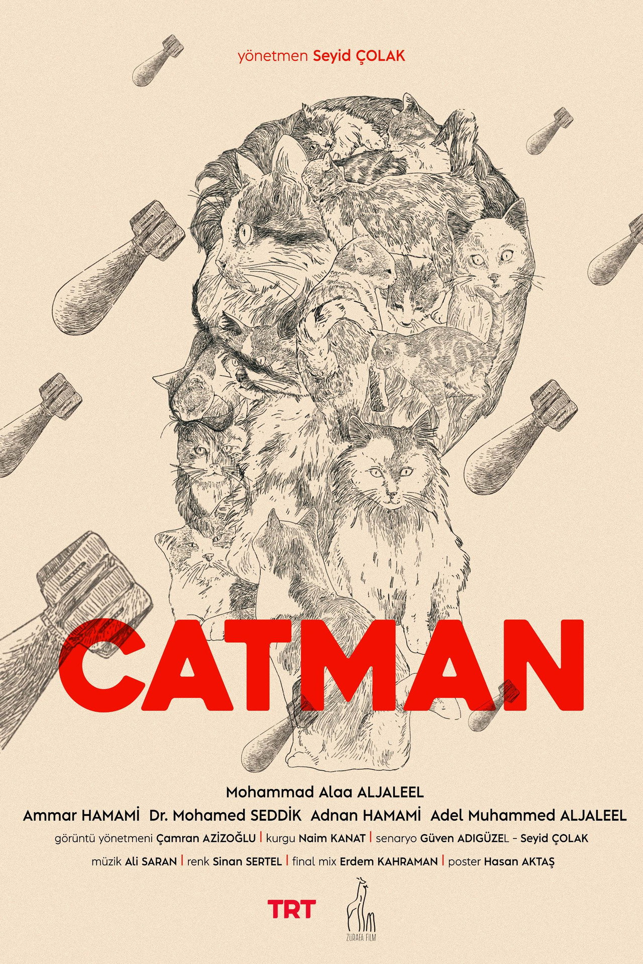 Kedi Adam filmaffisch