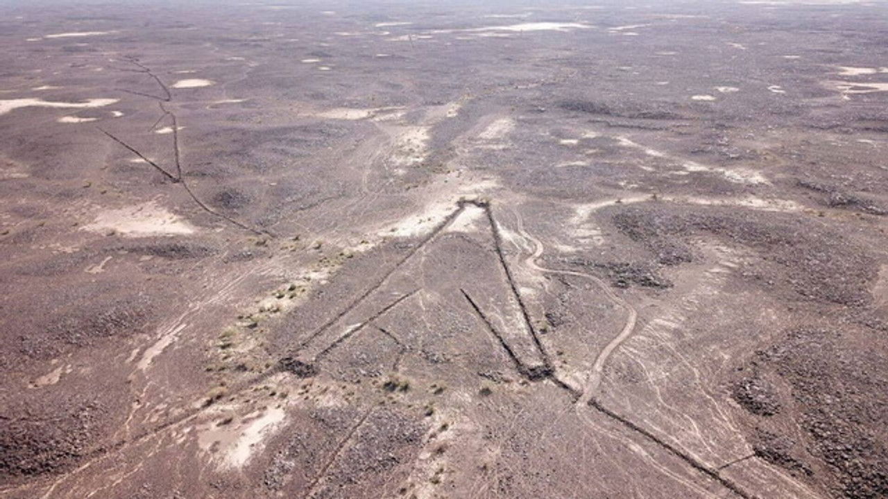 Science grand format — Le mystère des cerfs-volants du désert