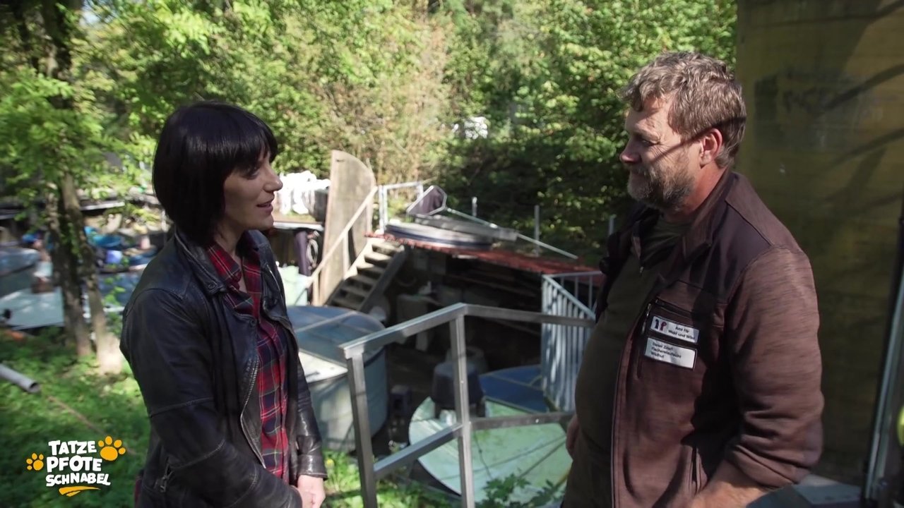 Tatze, Pfote, Schnabel - Season 1 Episode 15 : Episode 15