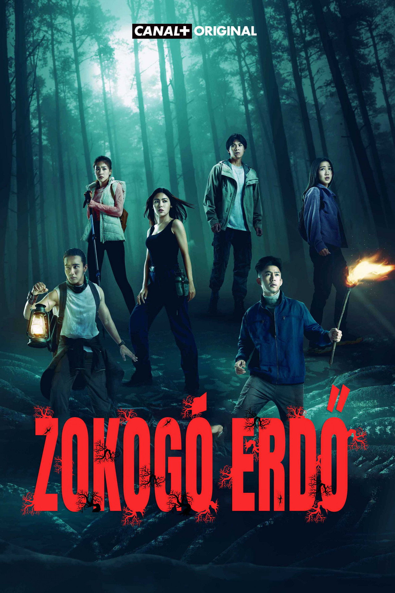 Zokogó erdő – plakát 5