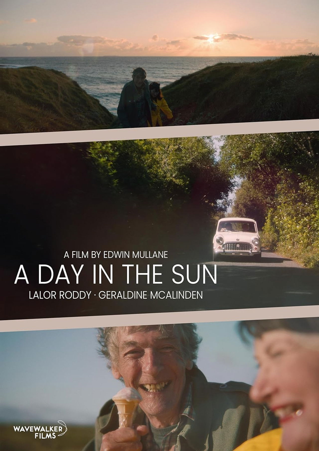 A Day in the Sun Backdrop