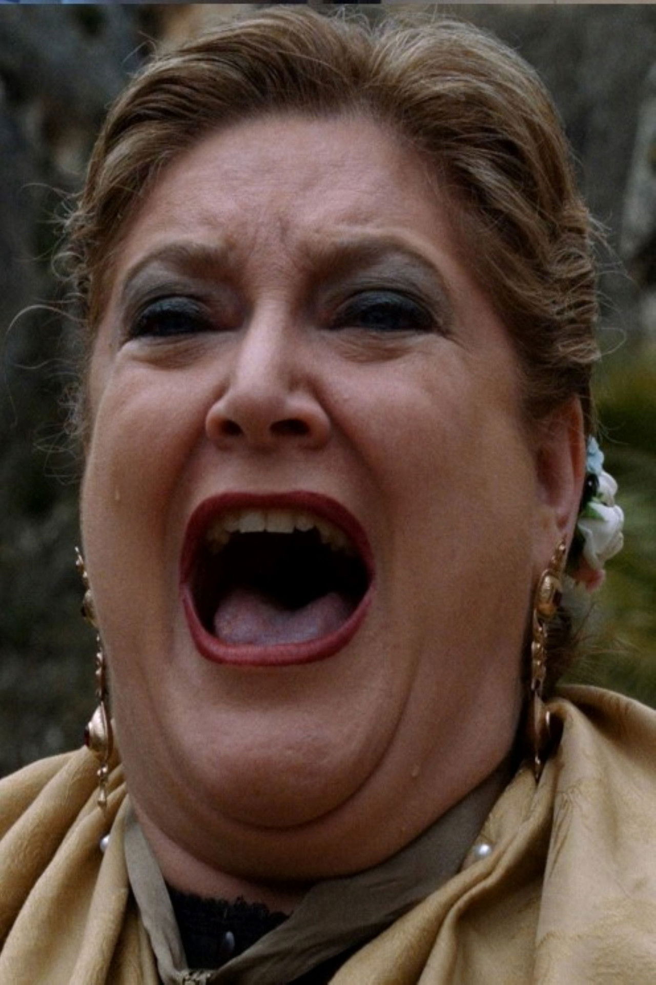 Viva Matanzas Backdrop