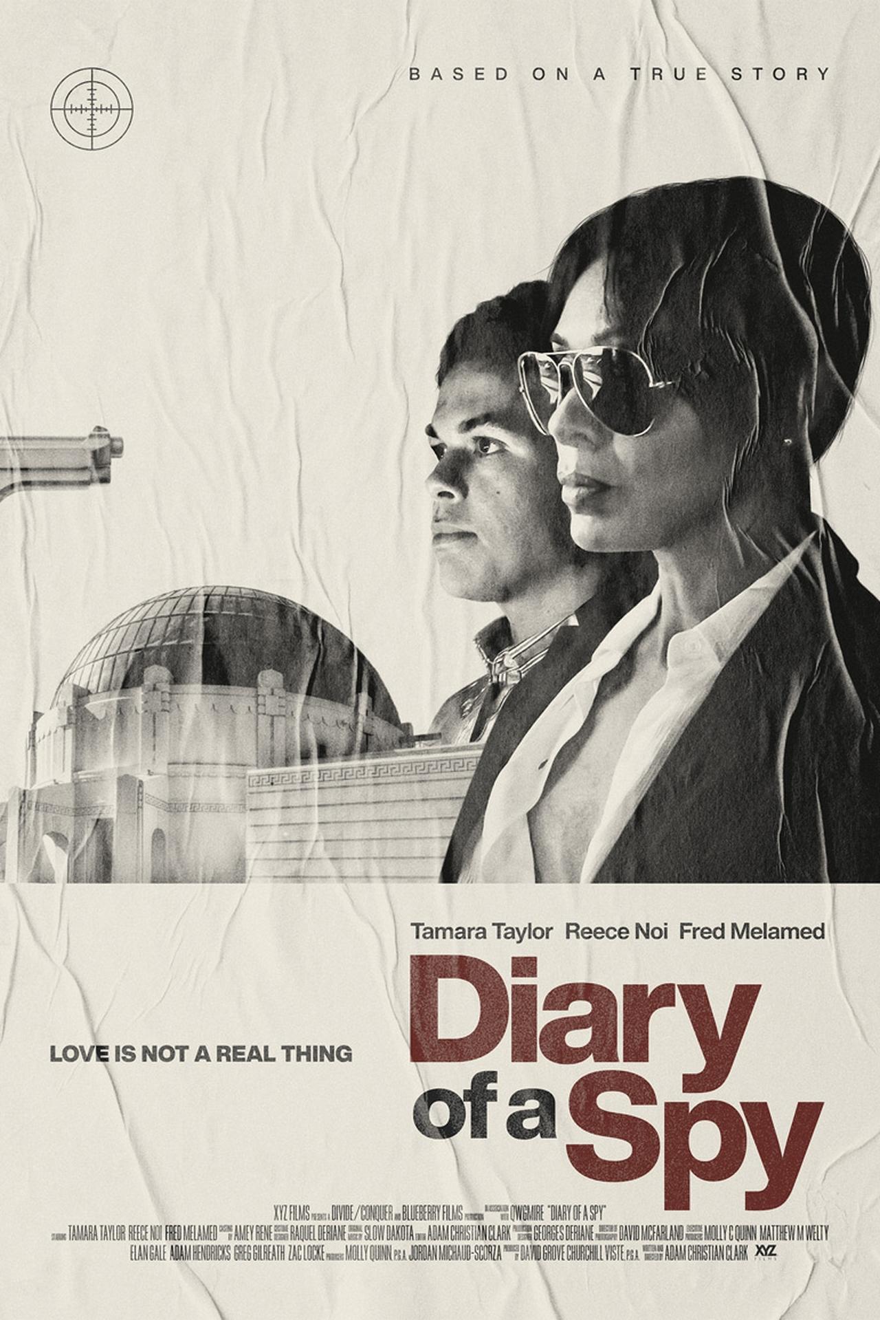 Diary of a Spy (WEB-DL)