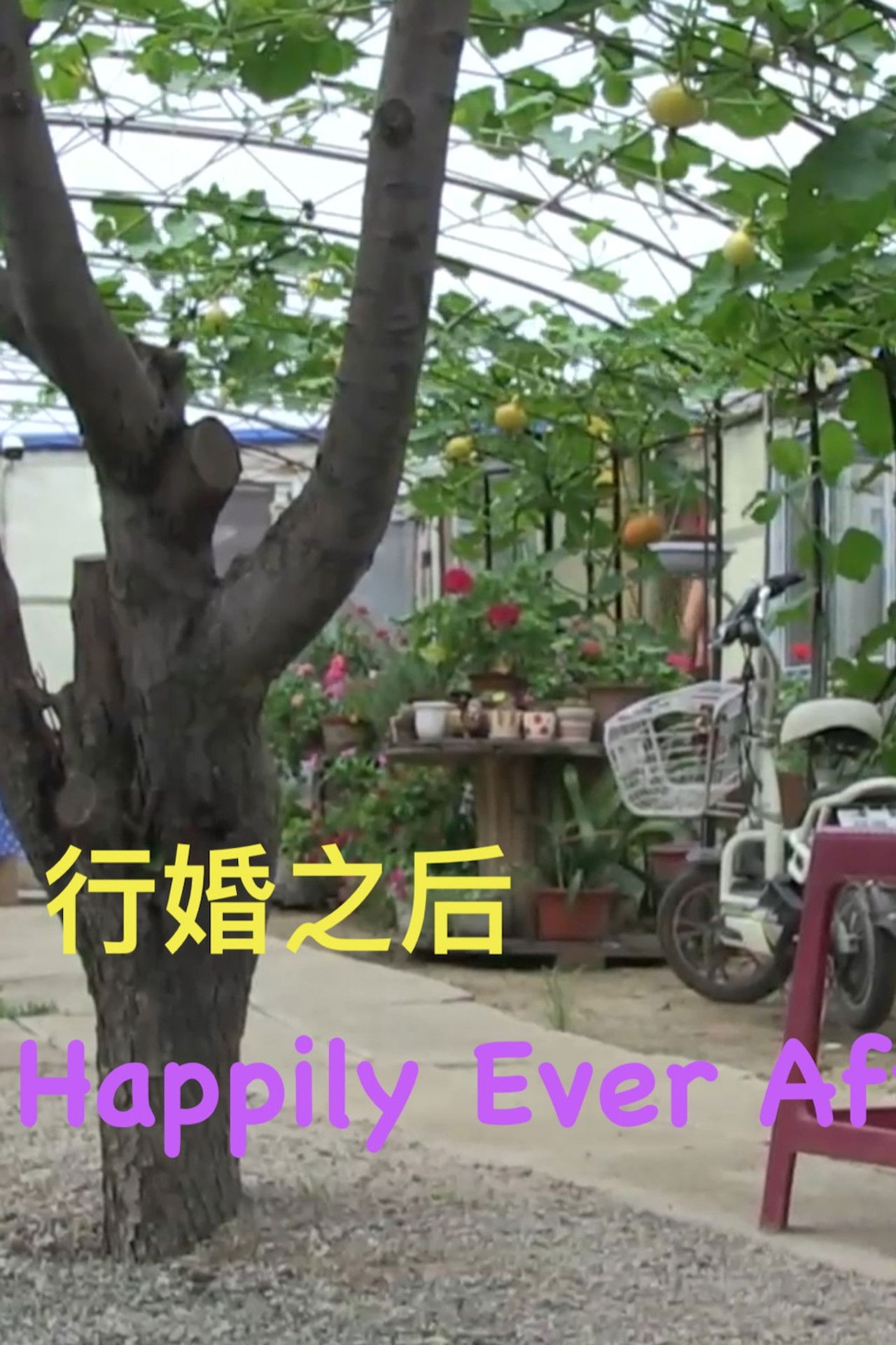 Happily Ever After Backdrop