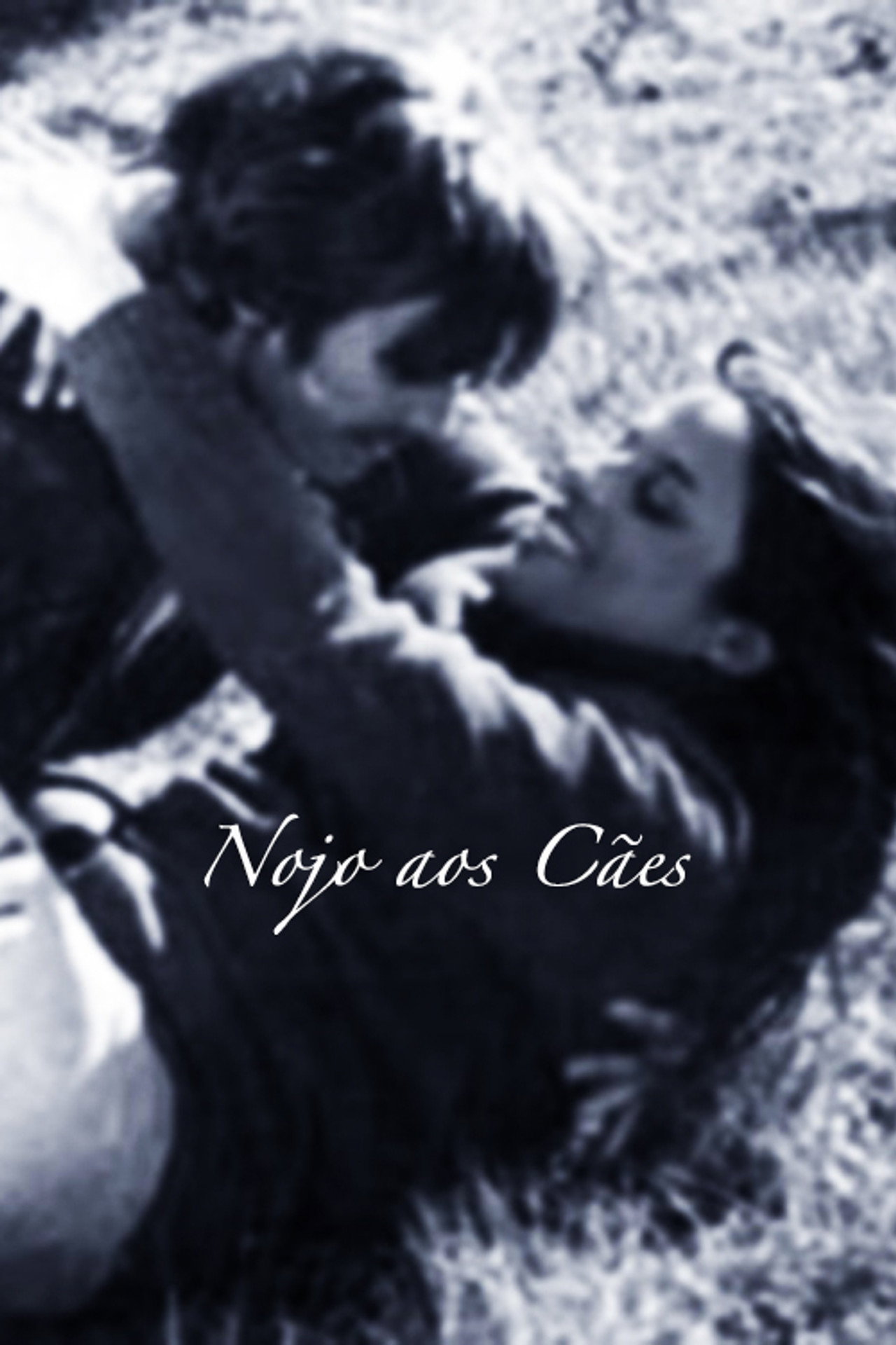 Nojo aos Cães filmaffisch