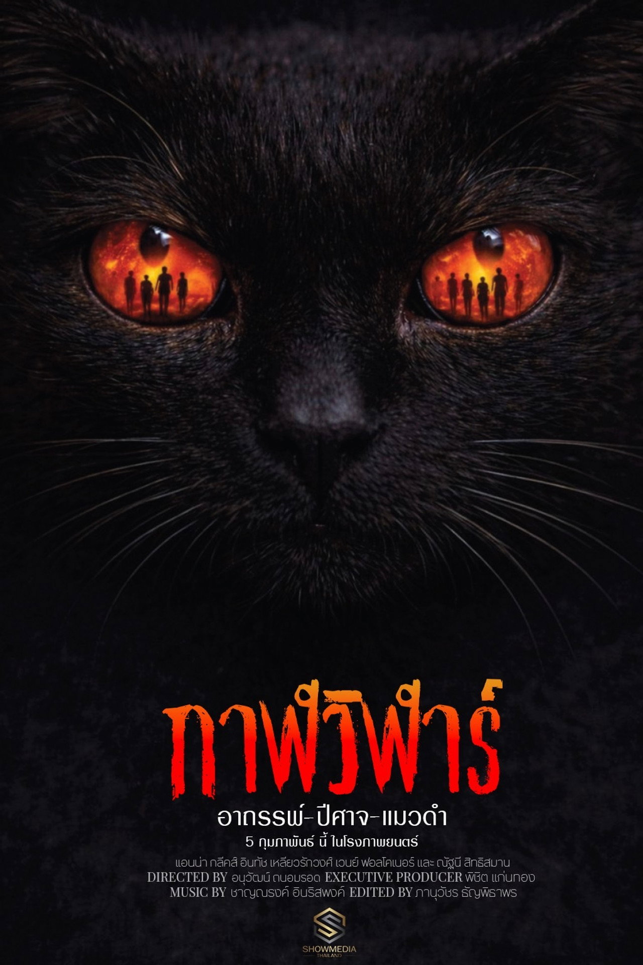 Devil Black Cat