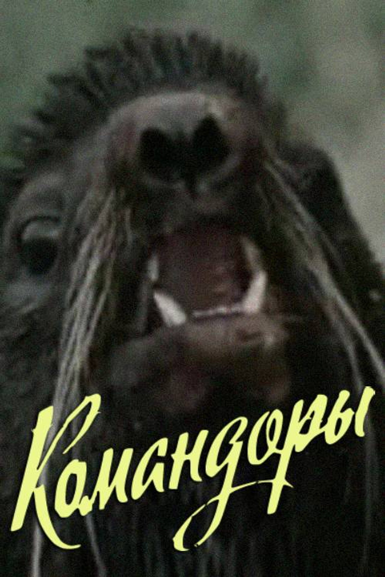 Командоры filmaffisch