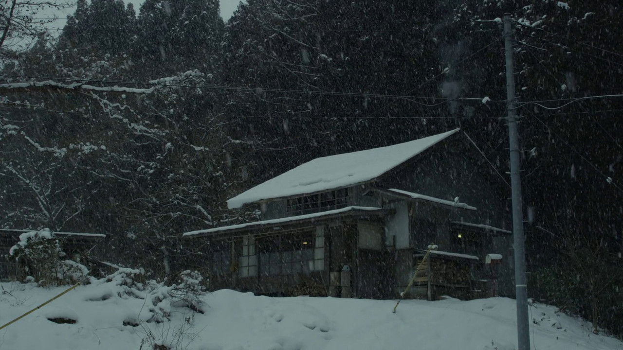 Little Forest: Winter/Spring backdrop