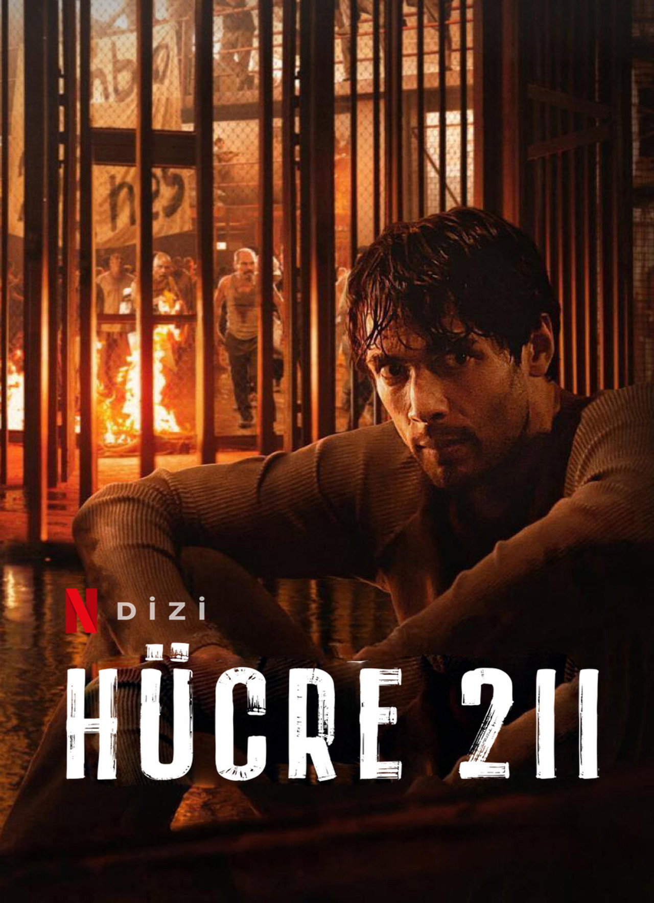 Hücre 211 Poster
