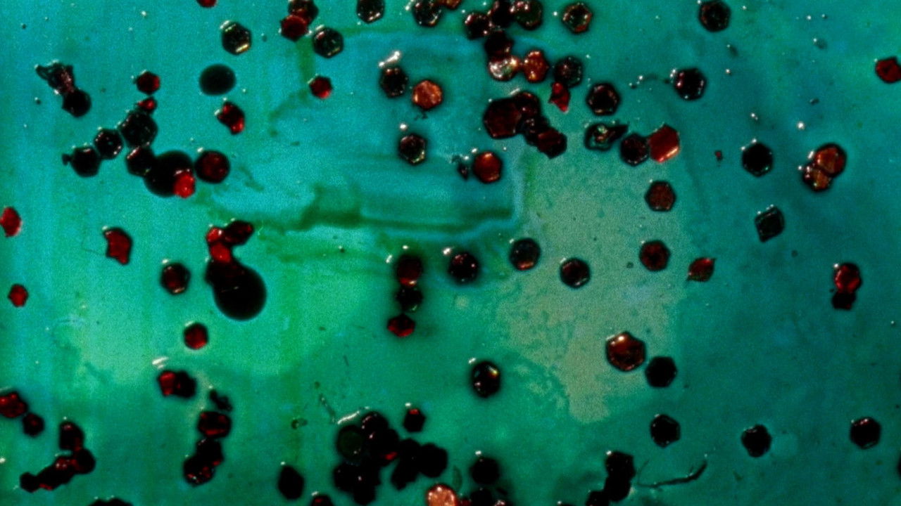 Ngjyrë neutrale backdrop