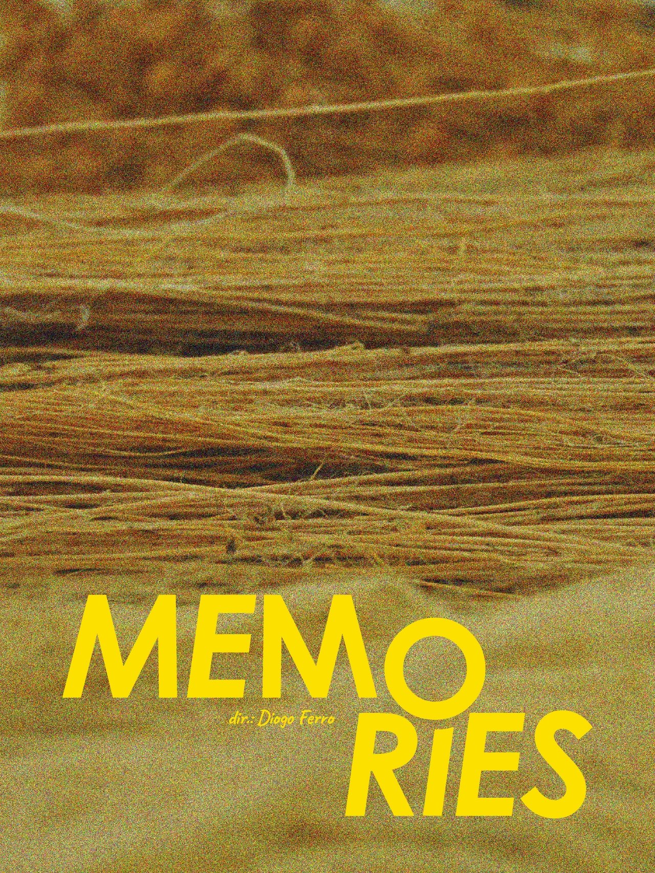Memórias poster