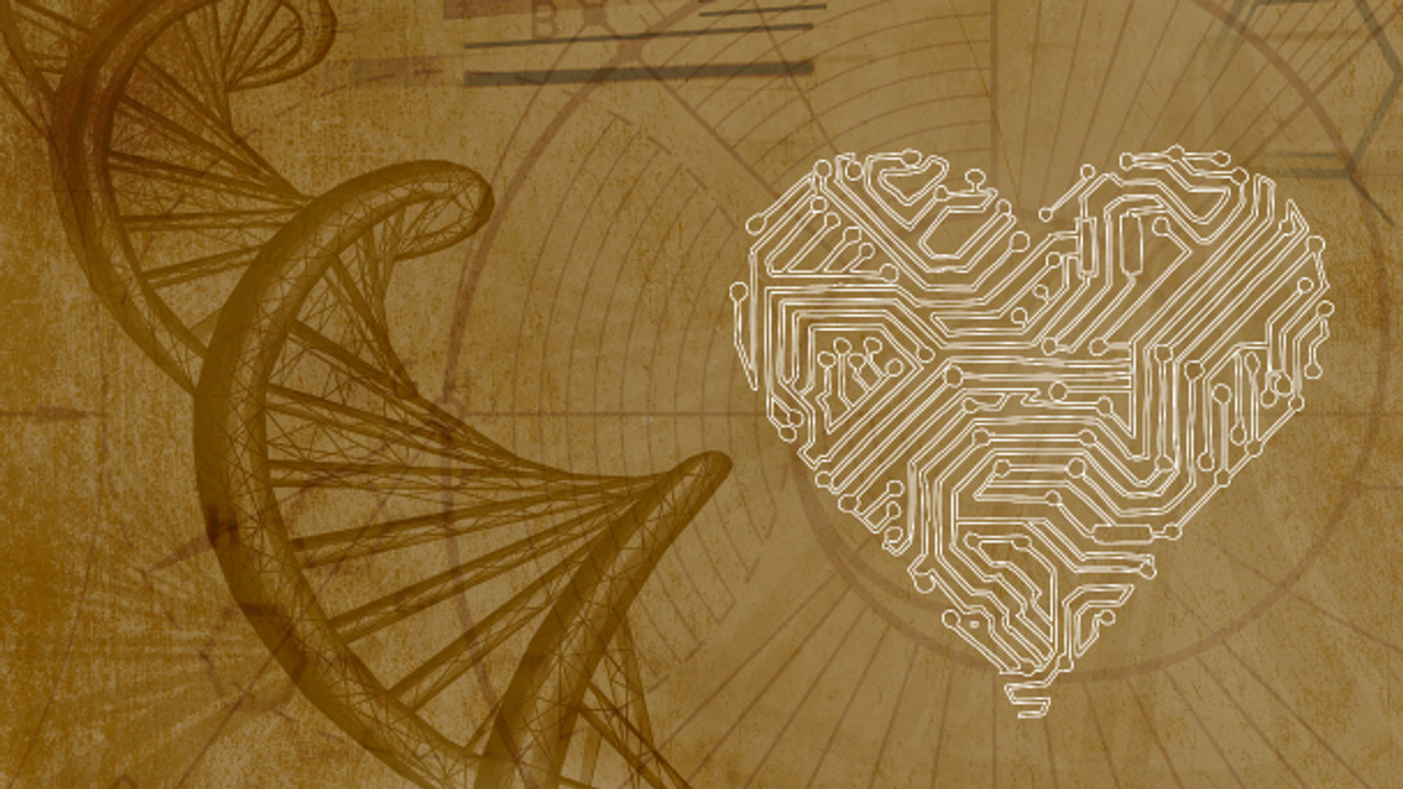 Inner Evolution — Épisode 8