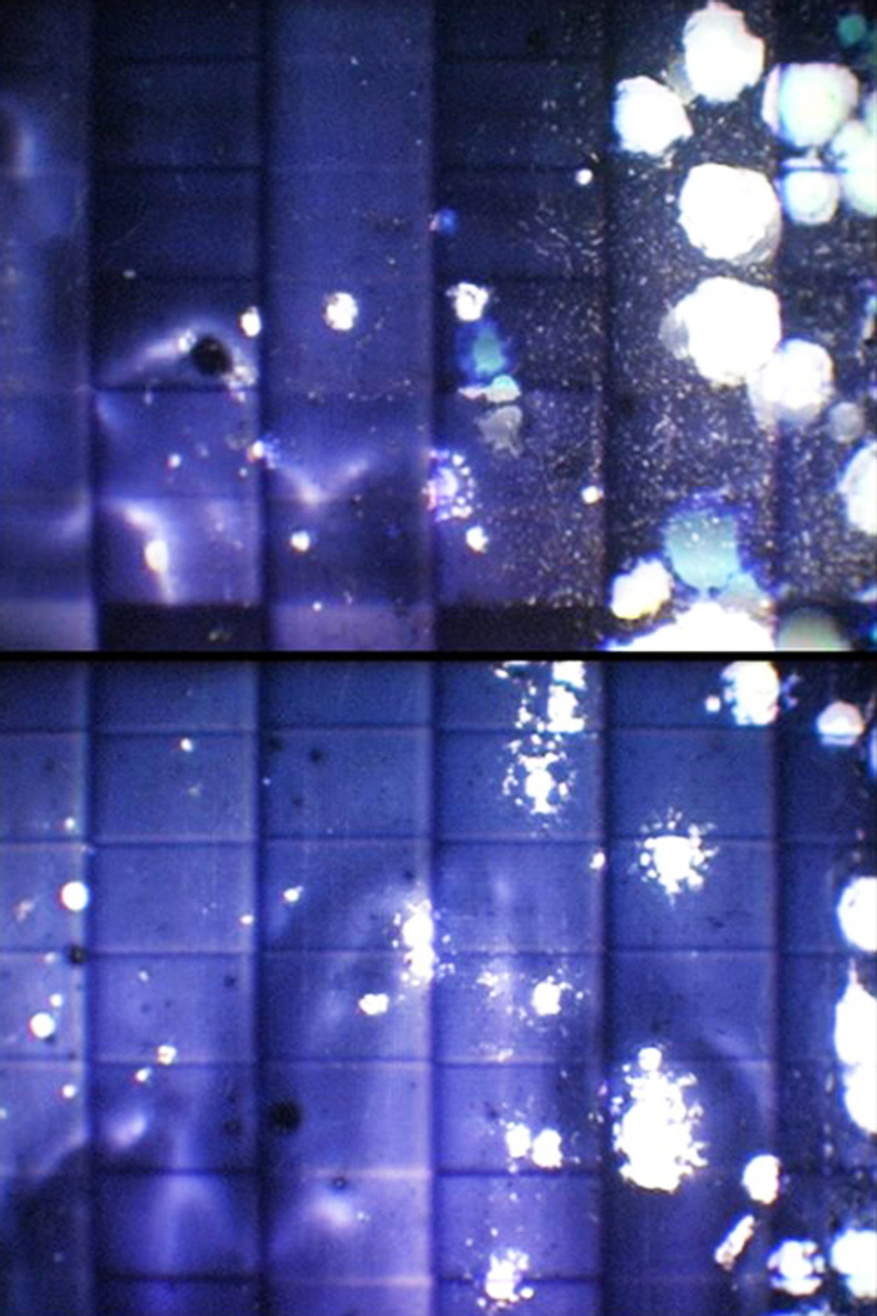 Crosshatch filmaffisch