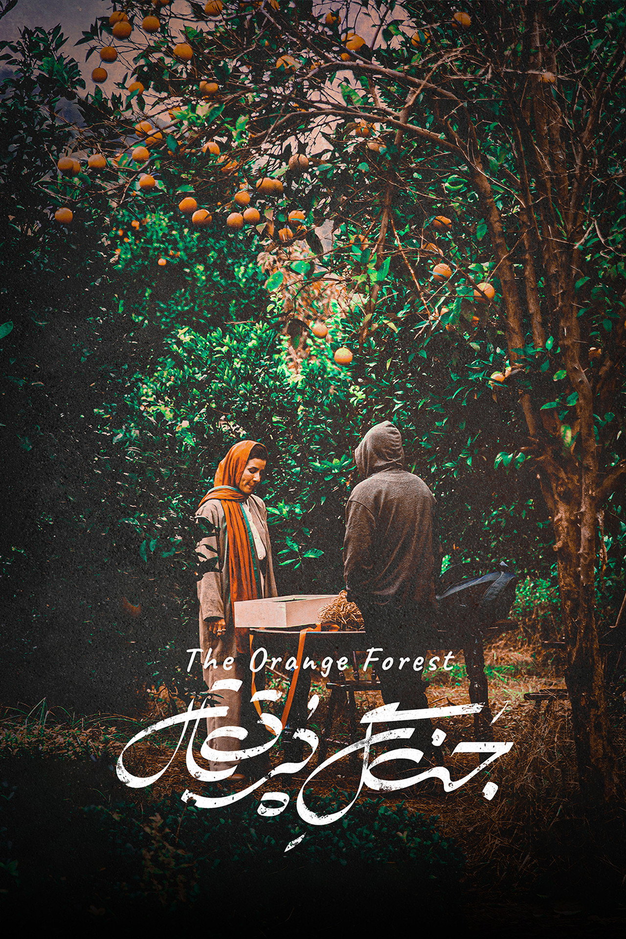 The Orange Forest
