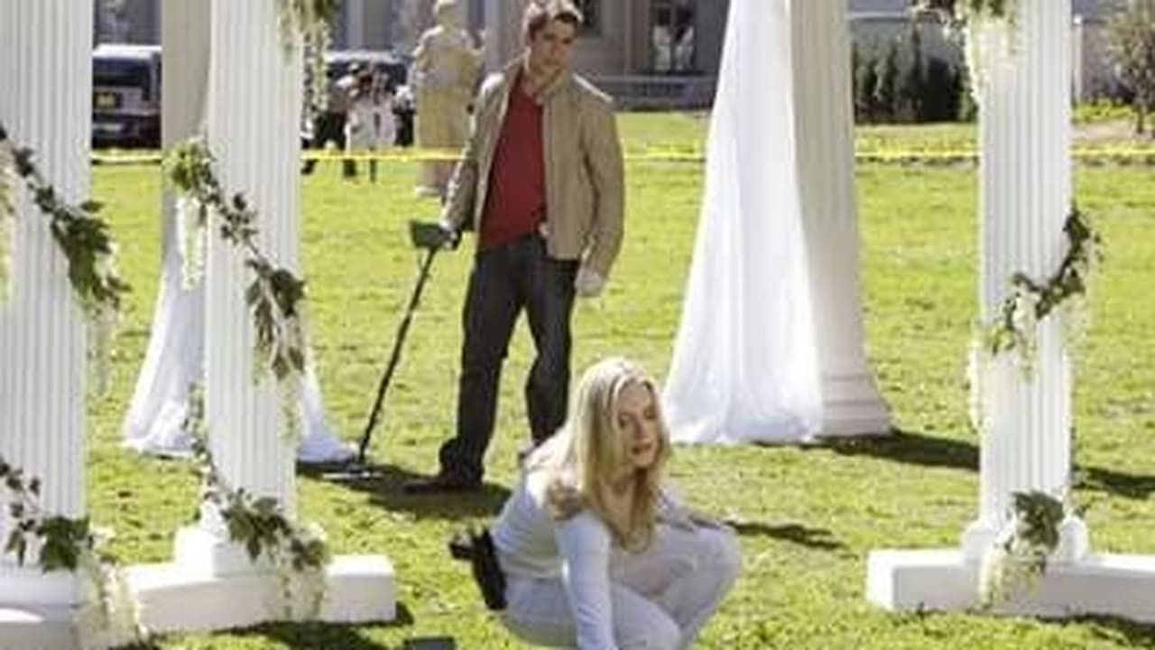 CSI: Miami - Season 6 Episode 14 : You May Now Kill the Bride