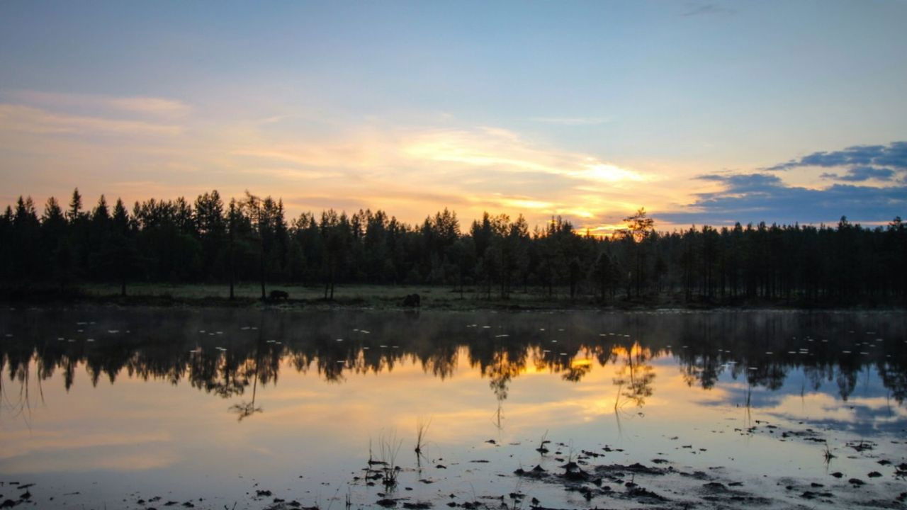 Europe's Great Wilderness — Épisode 3