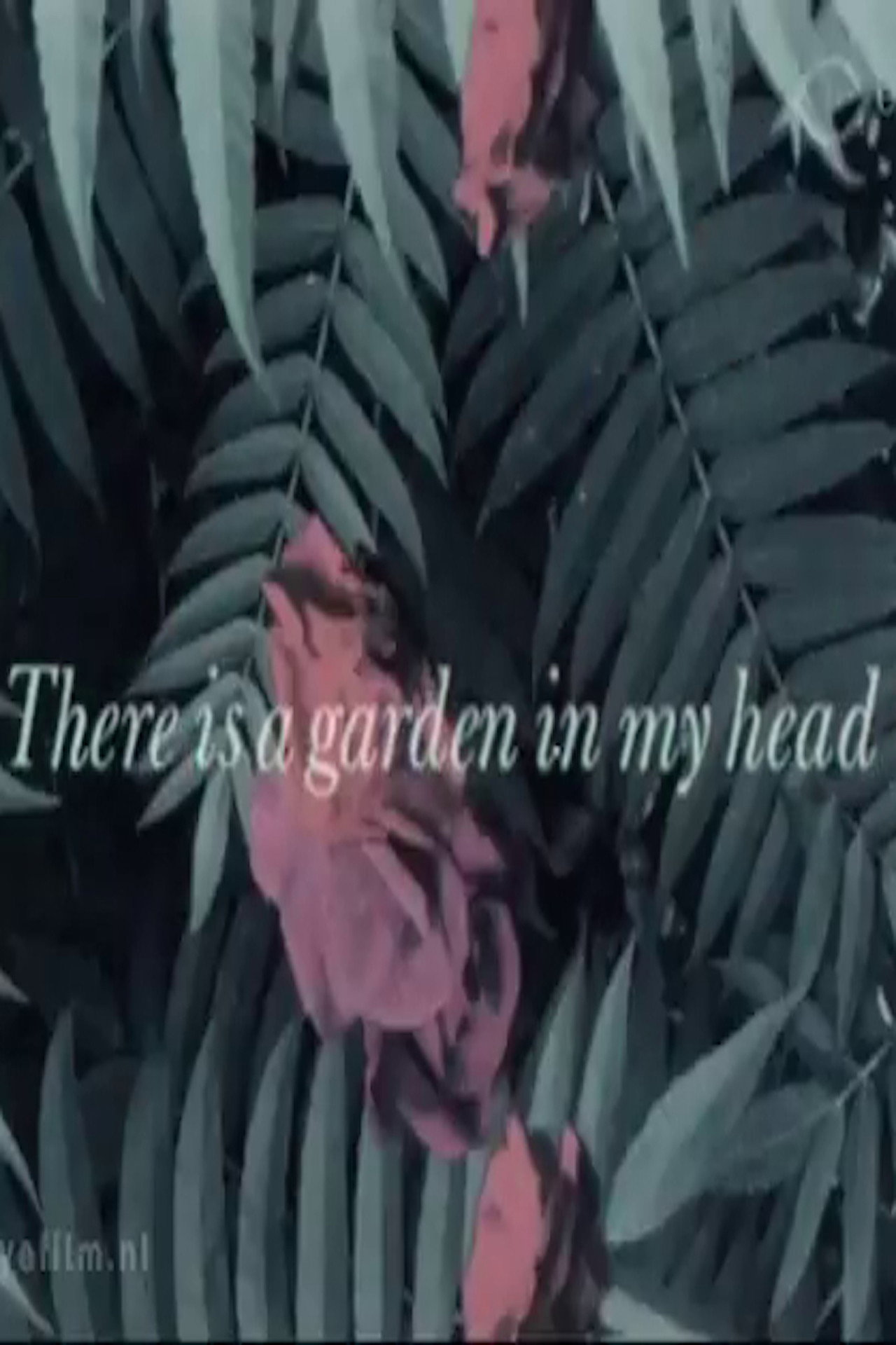 There is a Garden in my Head filmaffisch