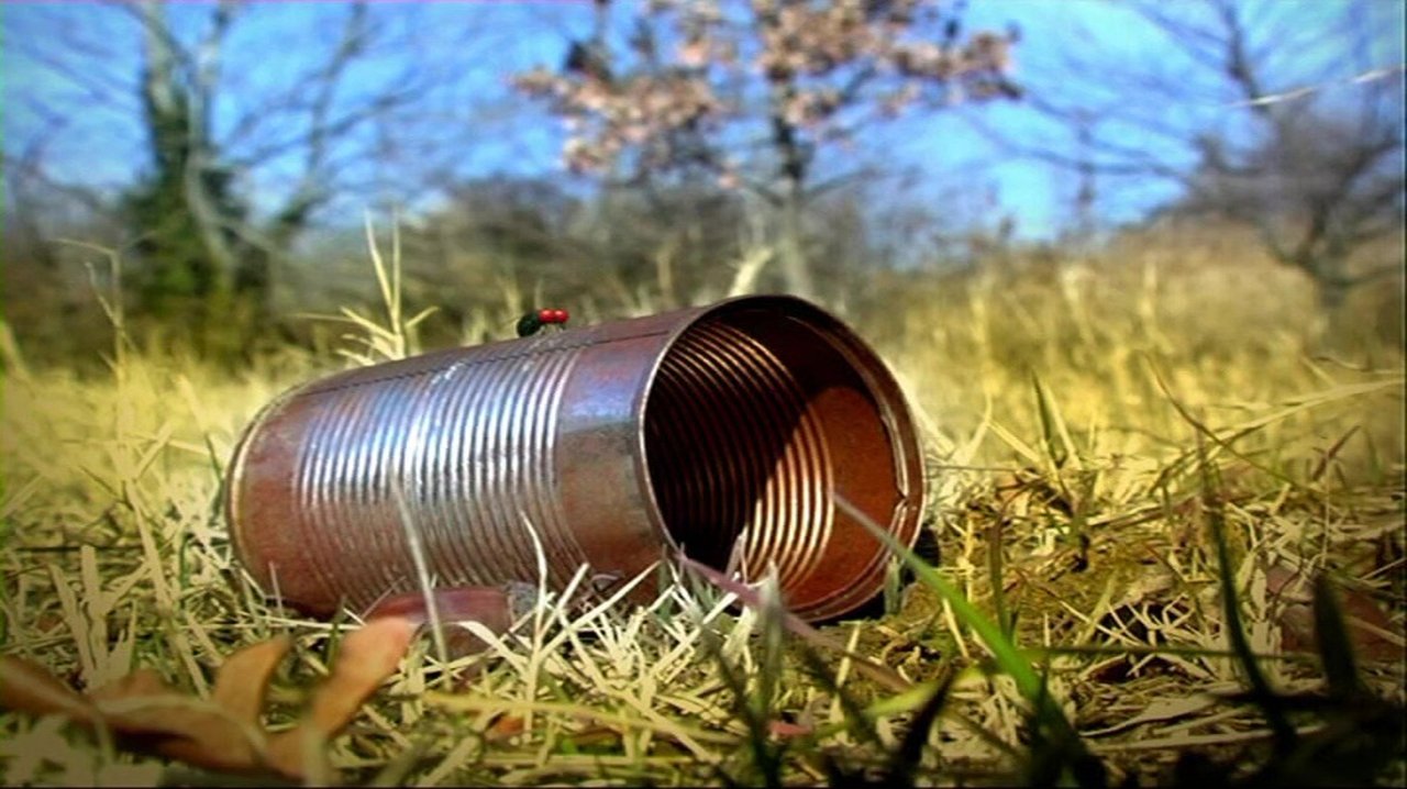 Out Of a Tin Can
