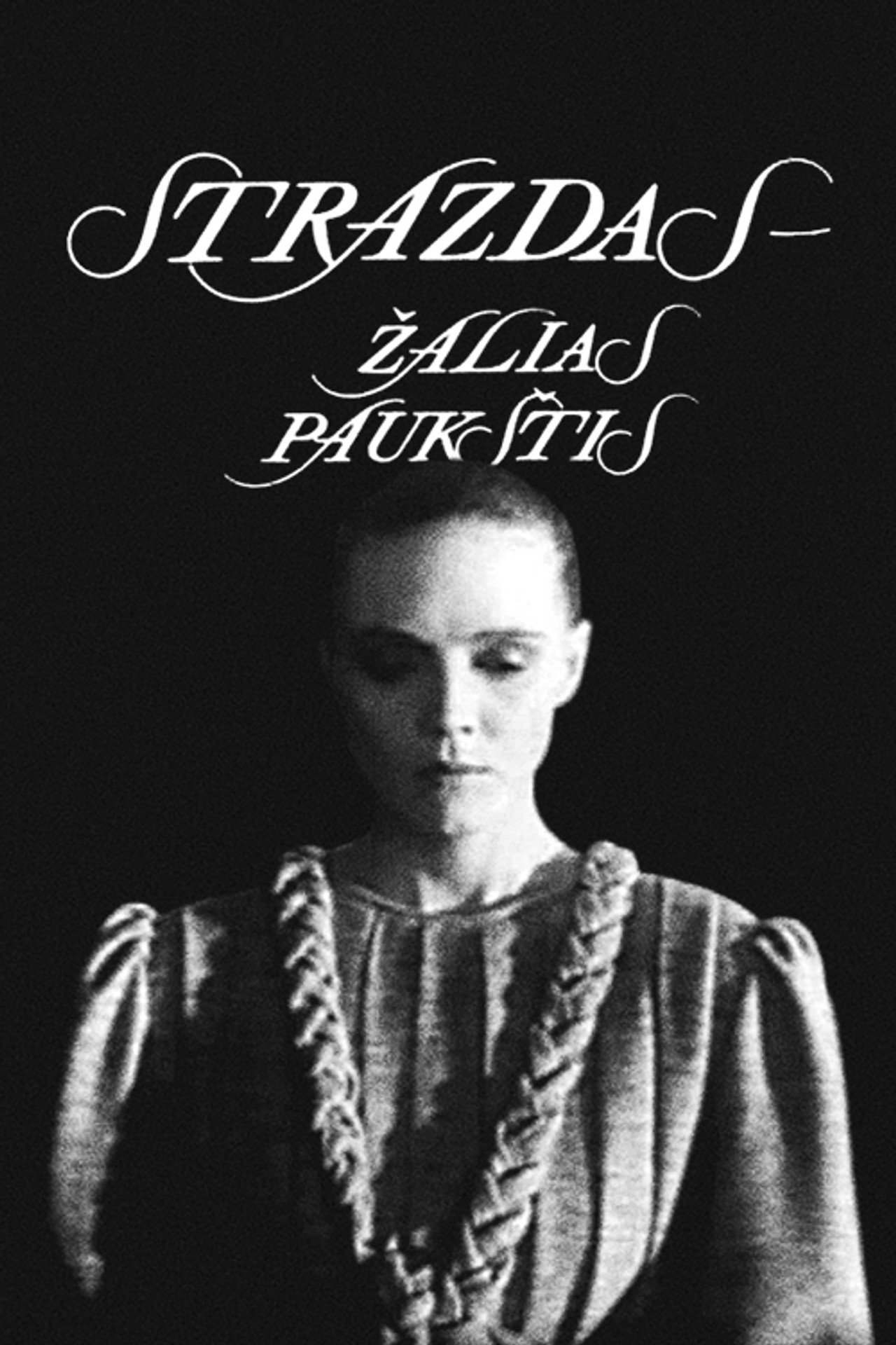 Strazdas - žalias paukštis filmaffisch