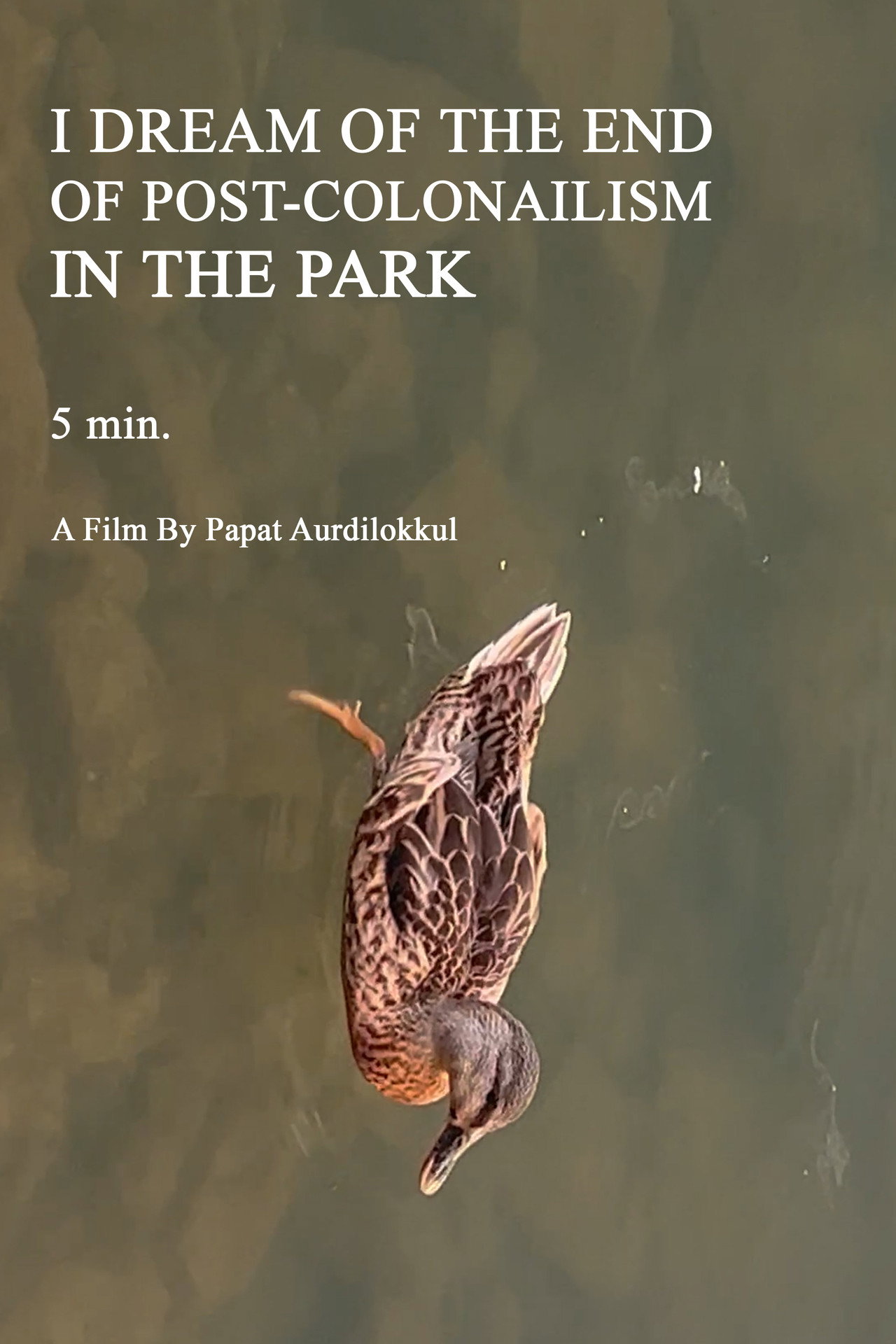 I DREAM OF THE END OF POST-COLONAILISM IN THE PARK 5 min. filmaffisch