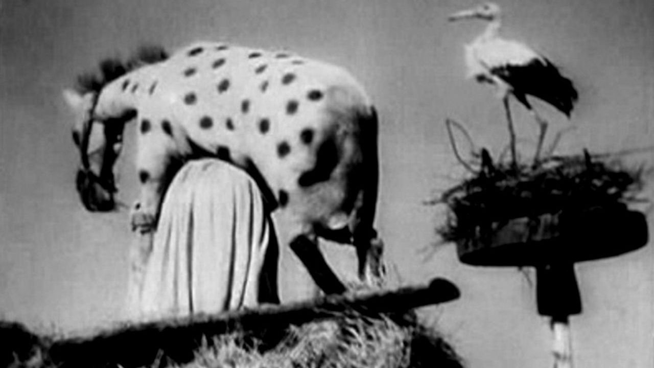 title image
