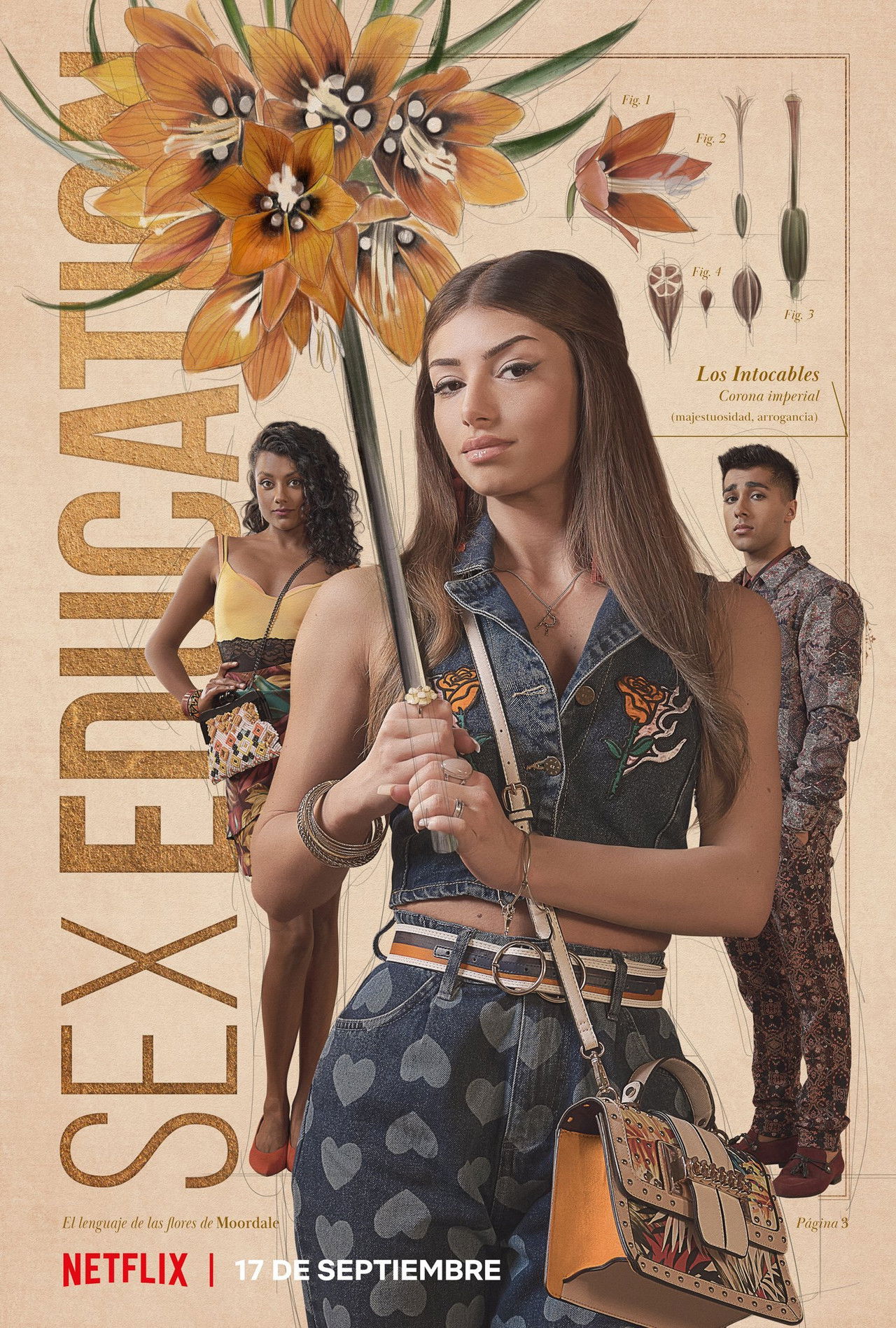 Sex Education (2021) Hindi S03 Complete Netflix Original backdrop