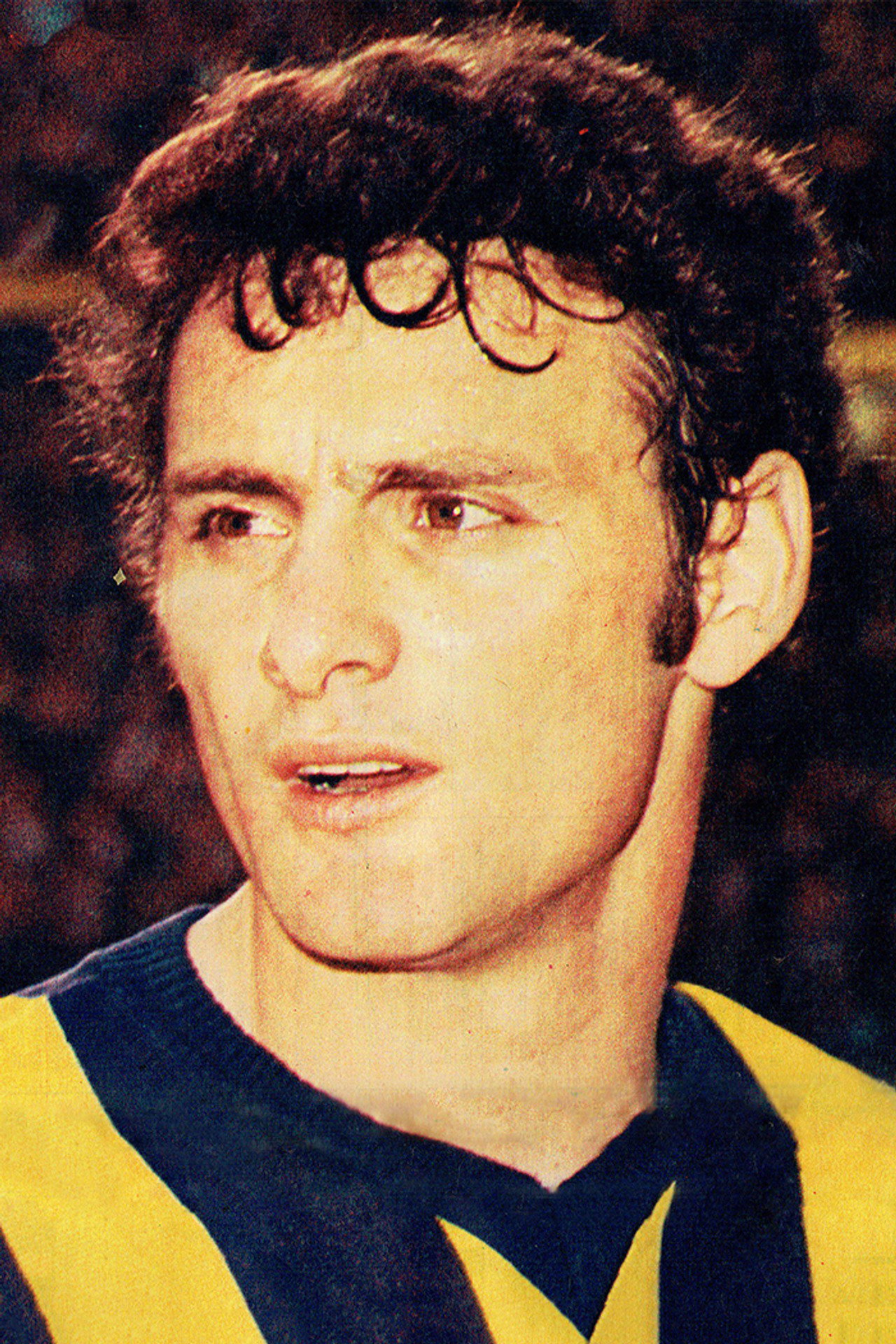 Cemil Turan
