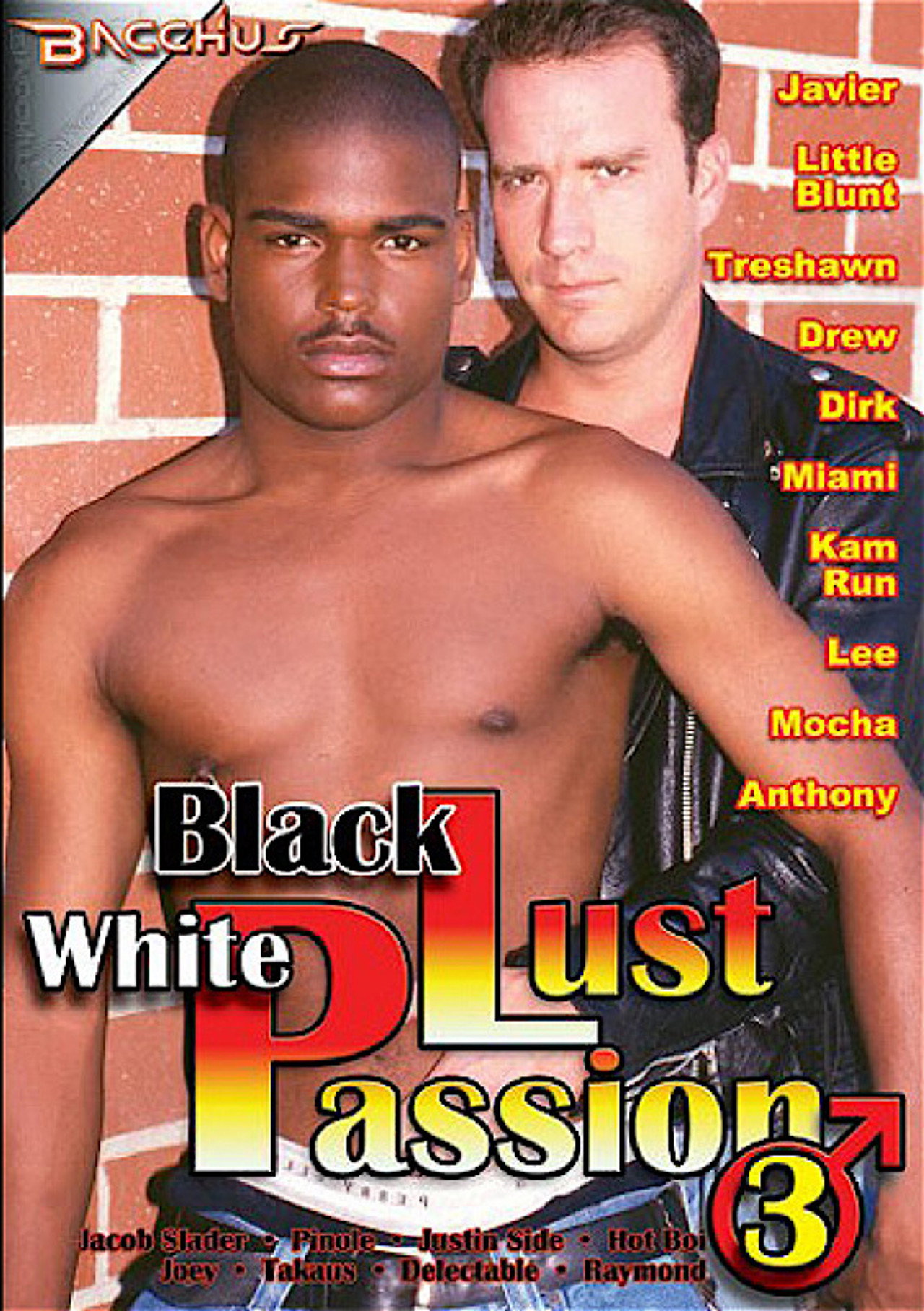 Black Lust White Passion 3 filmaffisch