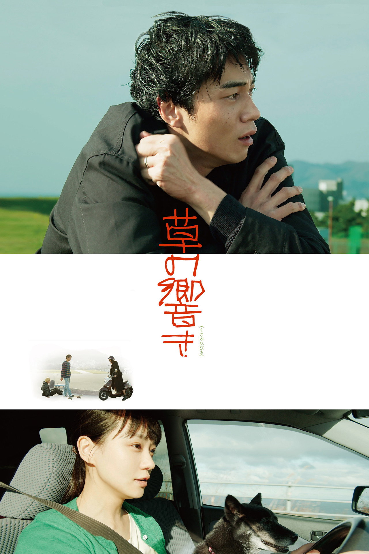 草の響き filmaffisch