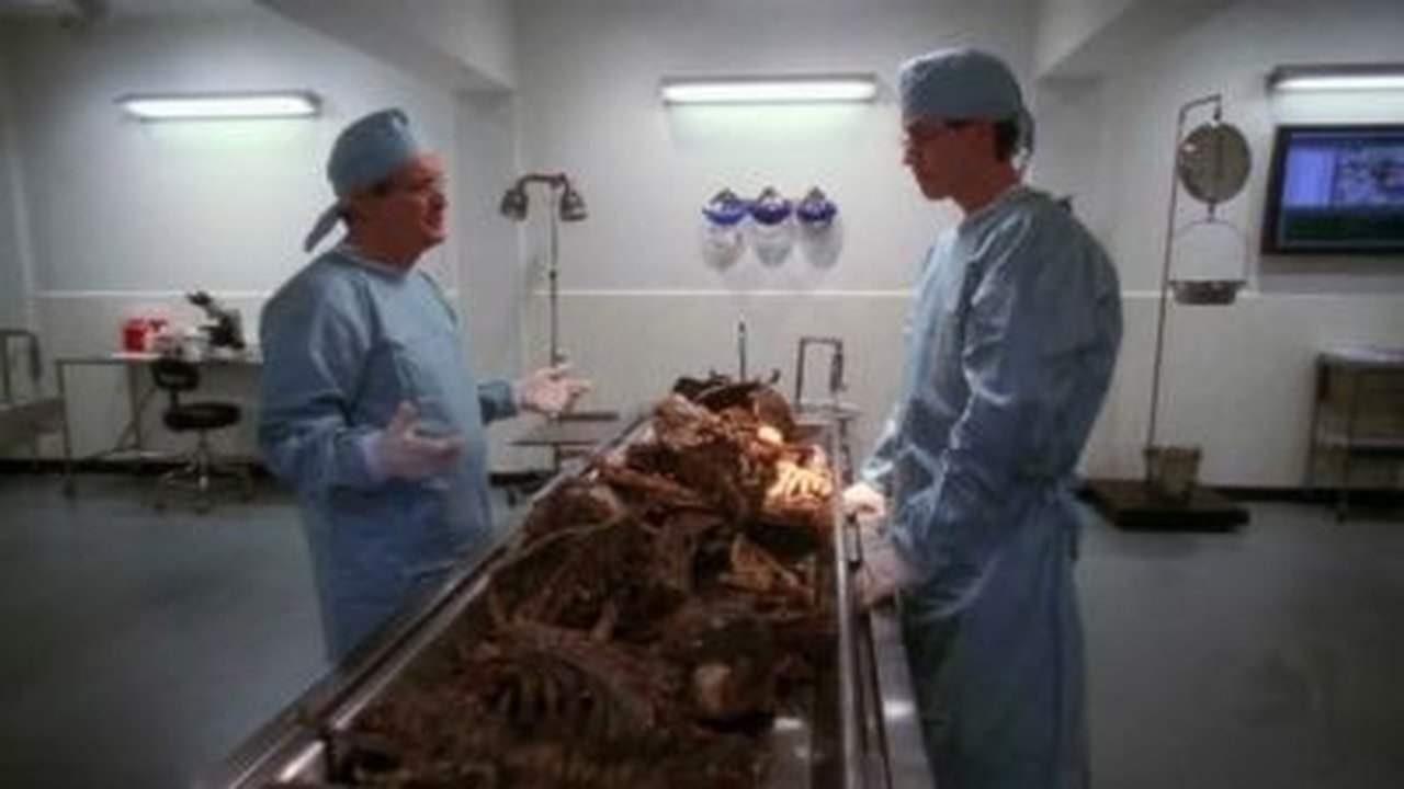 NCIS - Season 4 Episode 17 : Skeletons