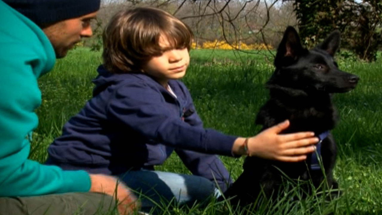 Missione cuccioli — Épisode 1