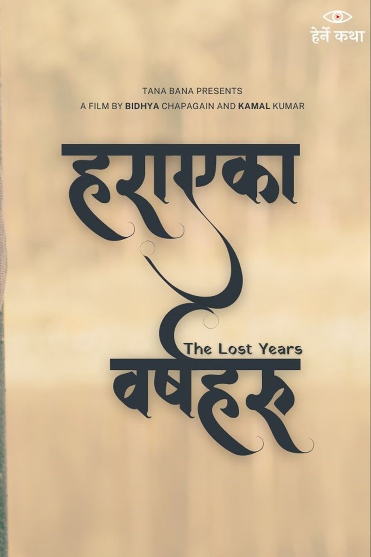 हराएका वर्षहरू poster