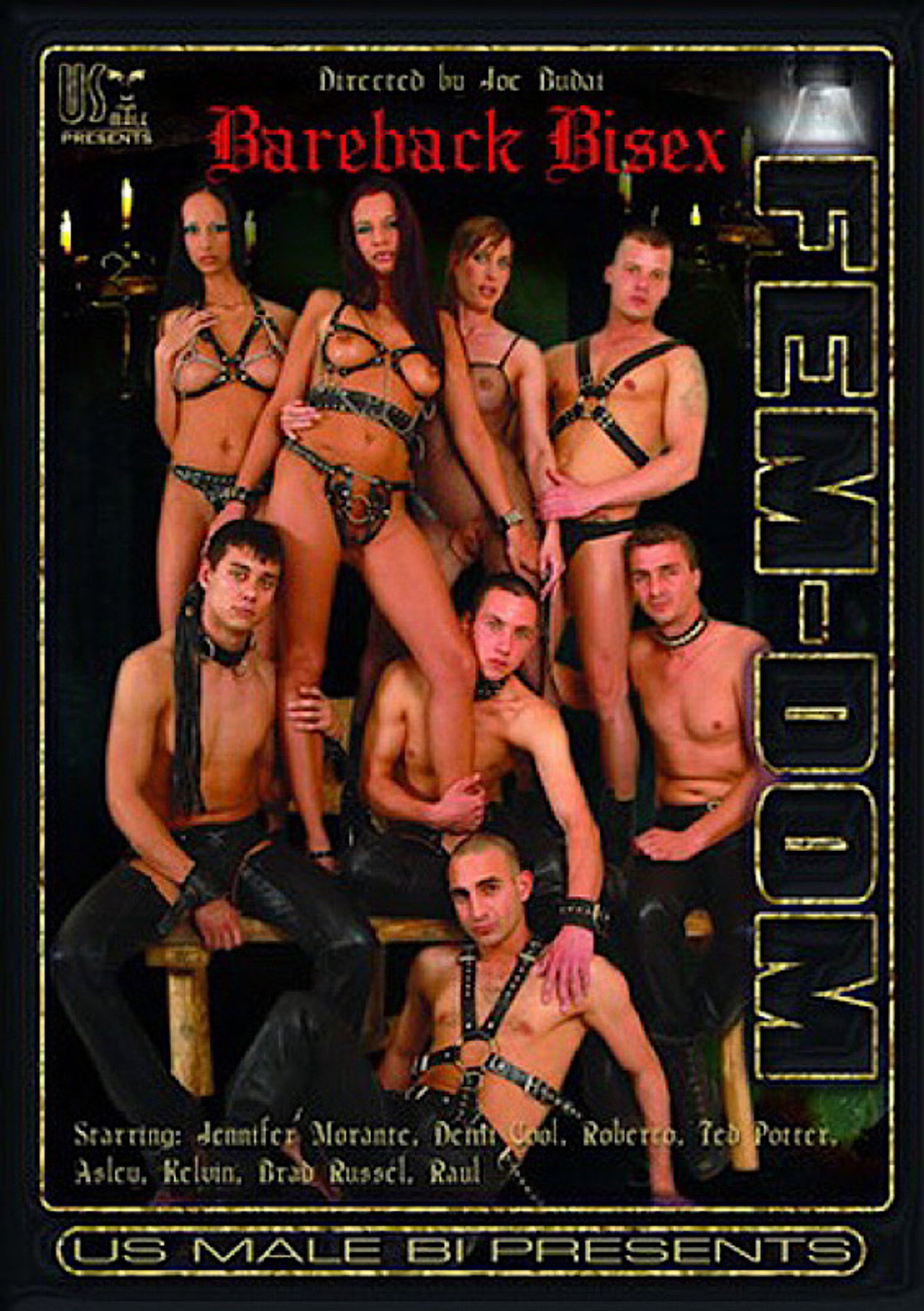 Bareback BiSex Fem-Dom filmaffisch