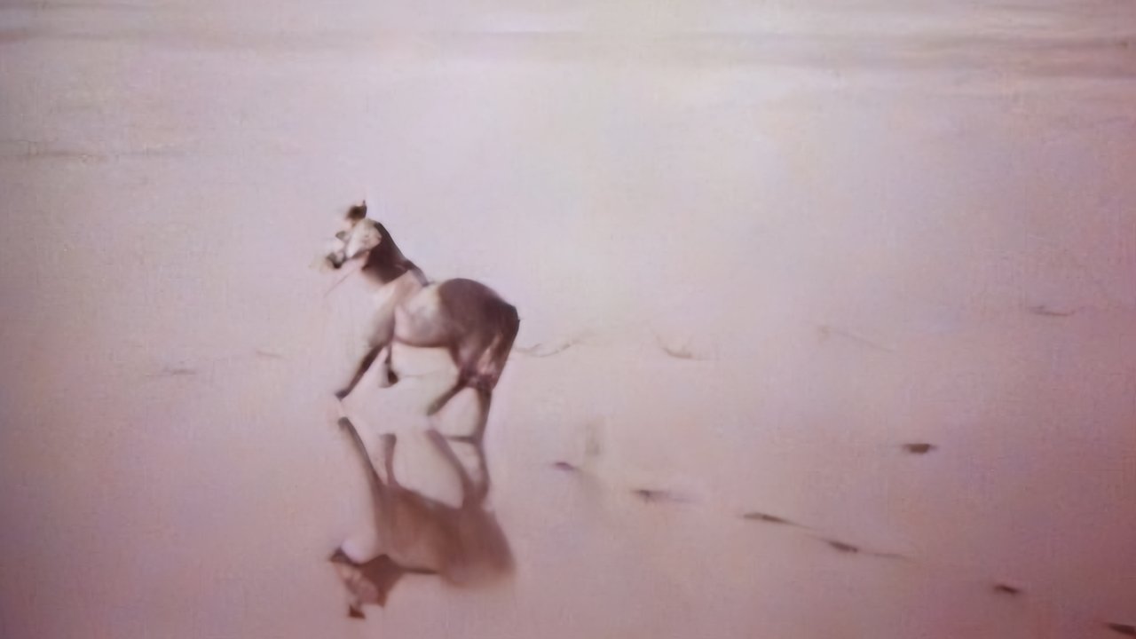 title image