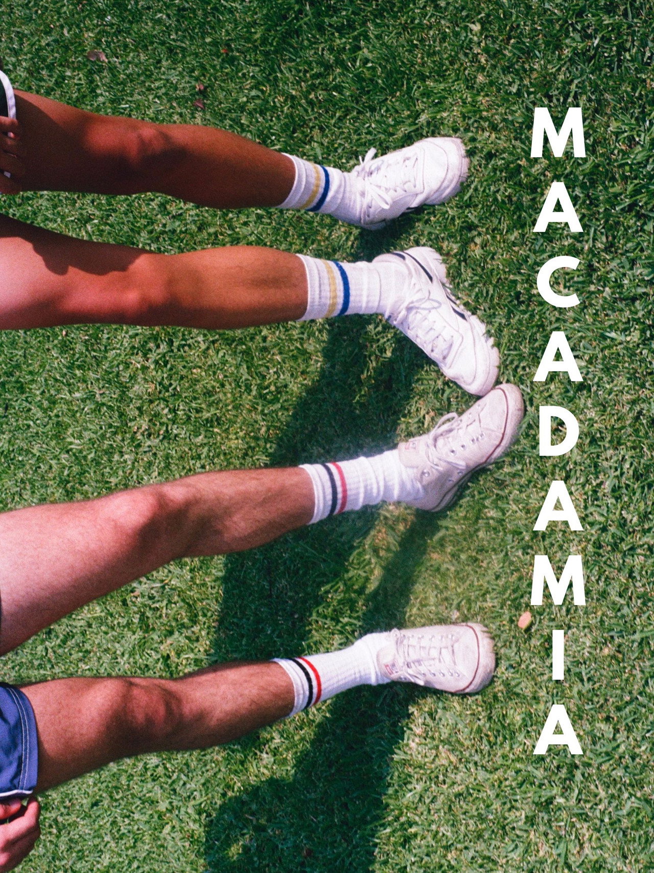 Macadamia filmaffisch