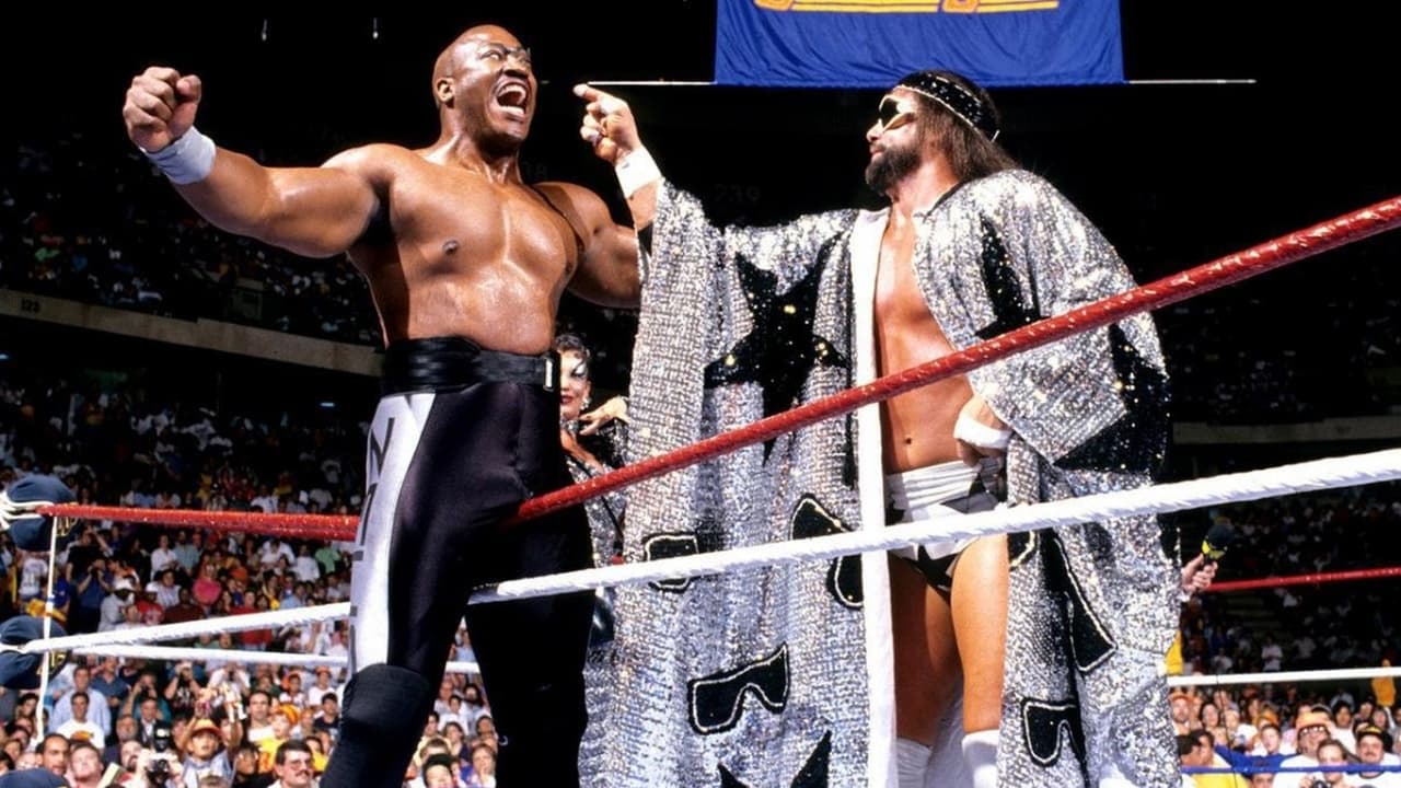 Scen från WWE SummerSlam 1989