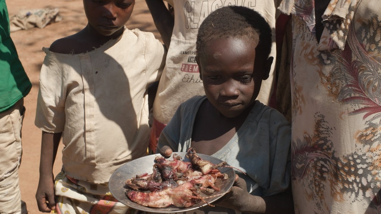 Unreported World - Season 48 Episode 1 : Crisis in Sudan: The Fight for Survival