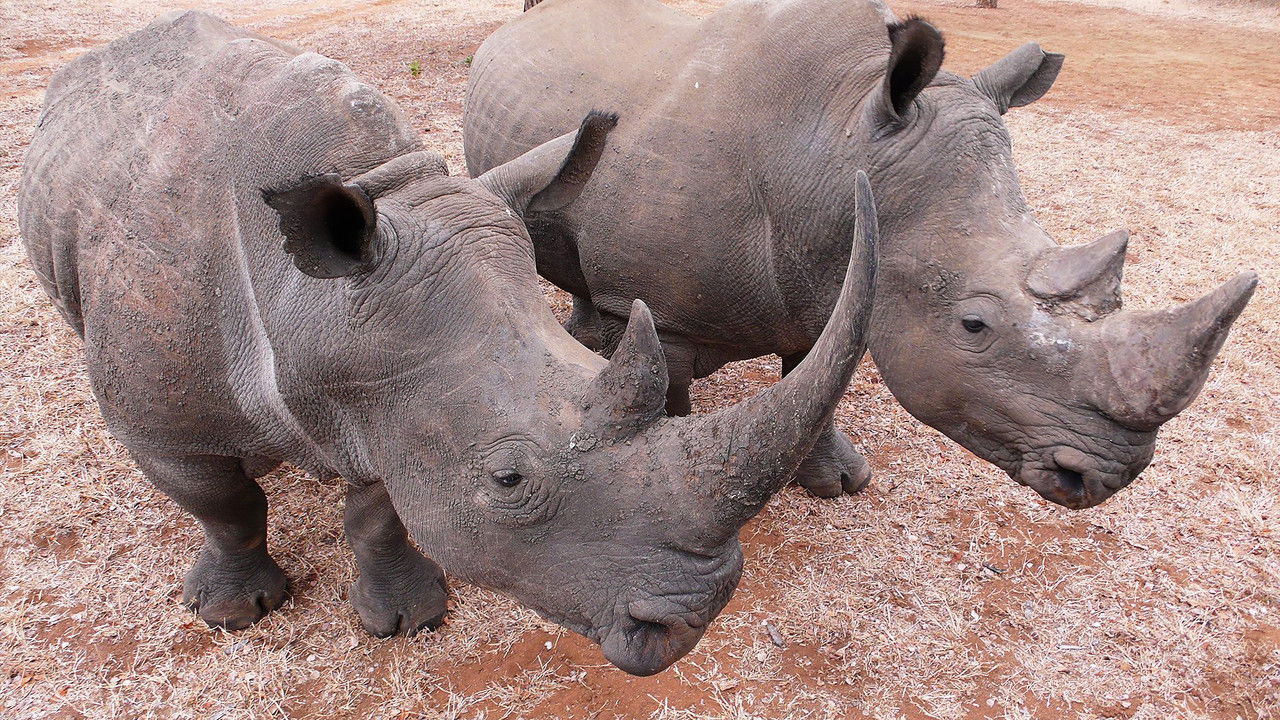 Deadly 60 — Épisode 25