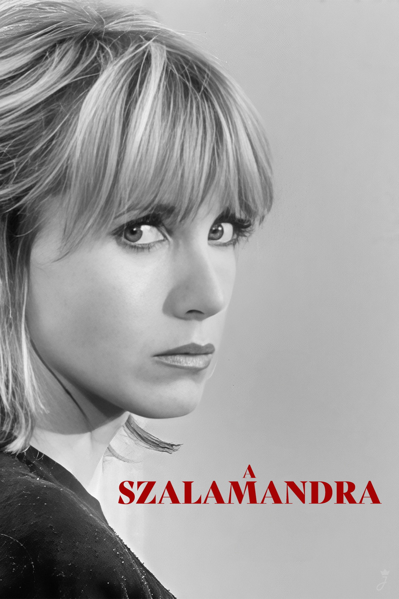 A szalamandra – plakát 5