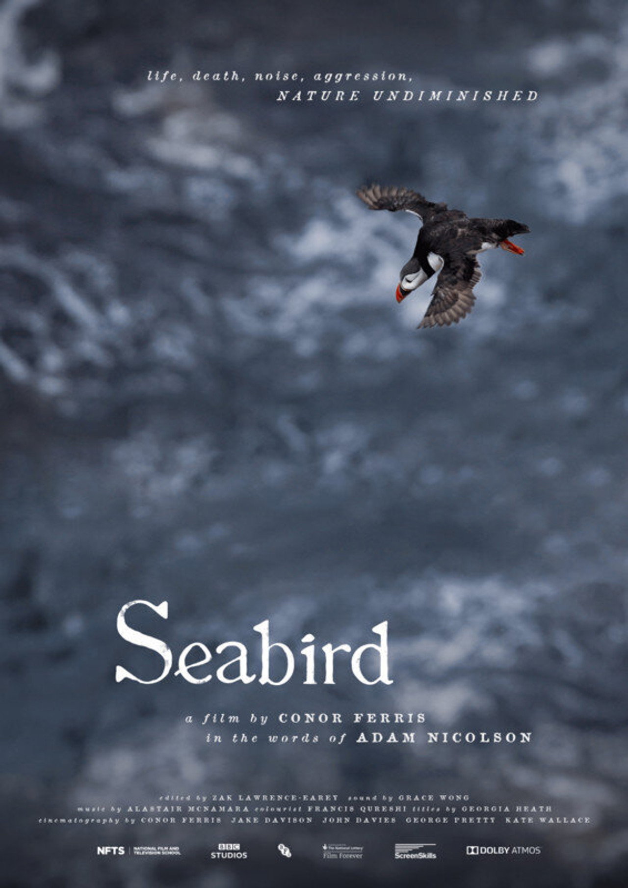 Seabird filmaffisch