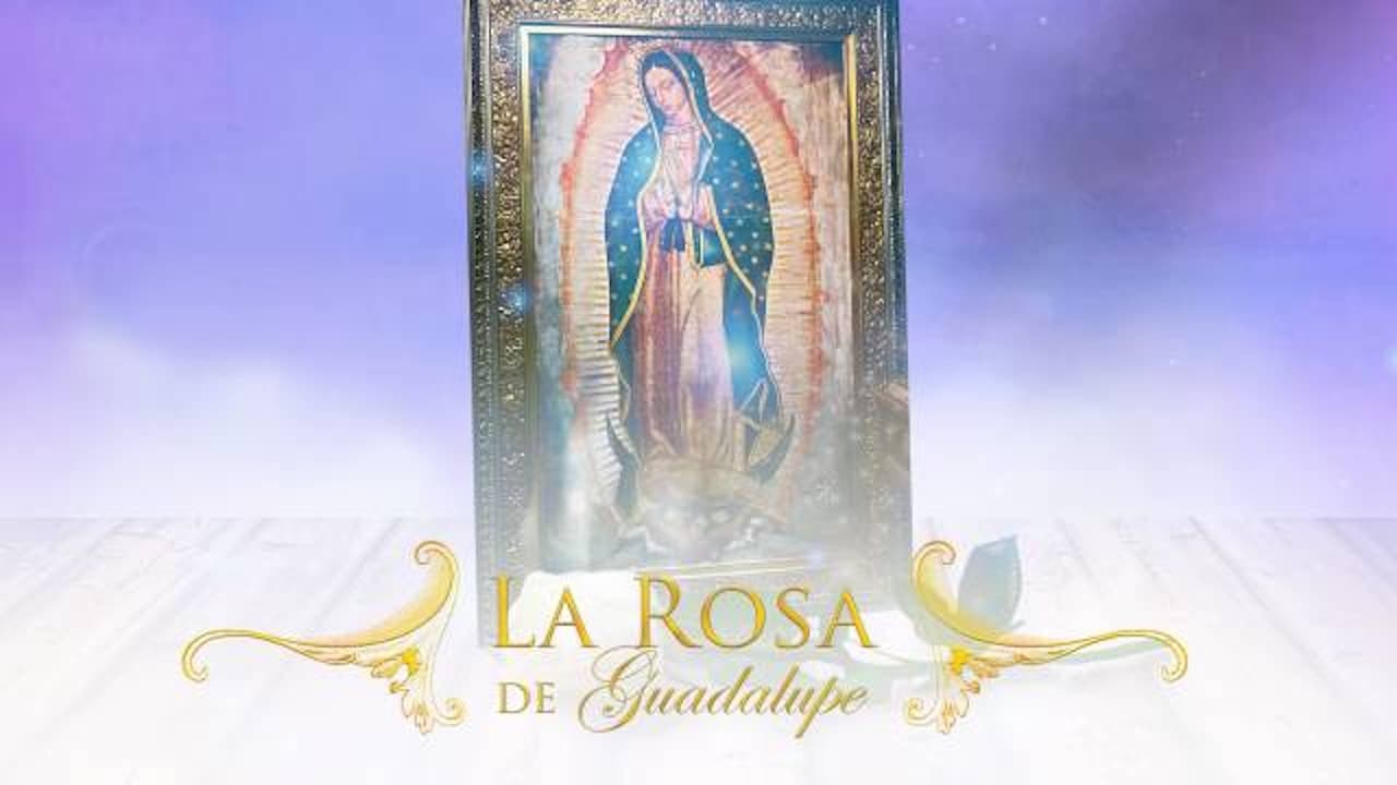 La Rosa De Guadalupe (2020)