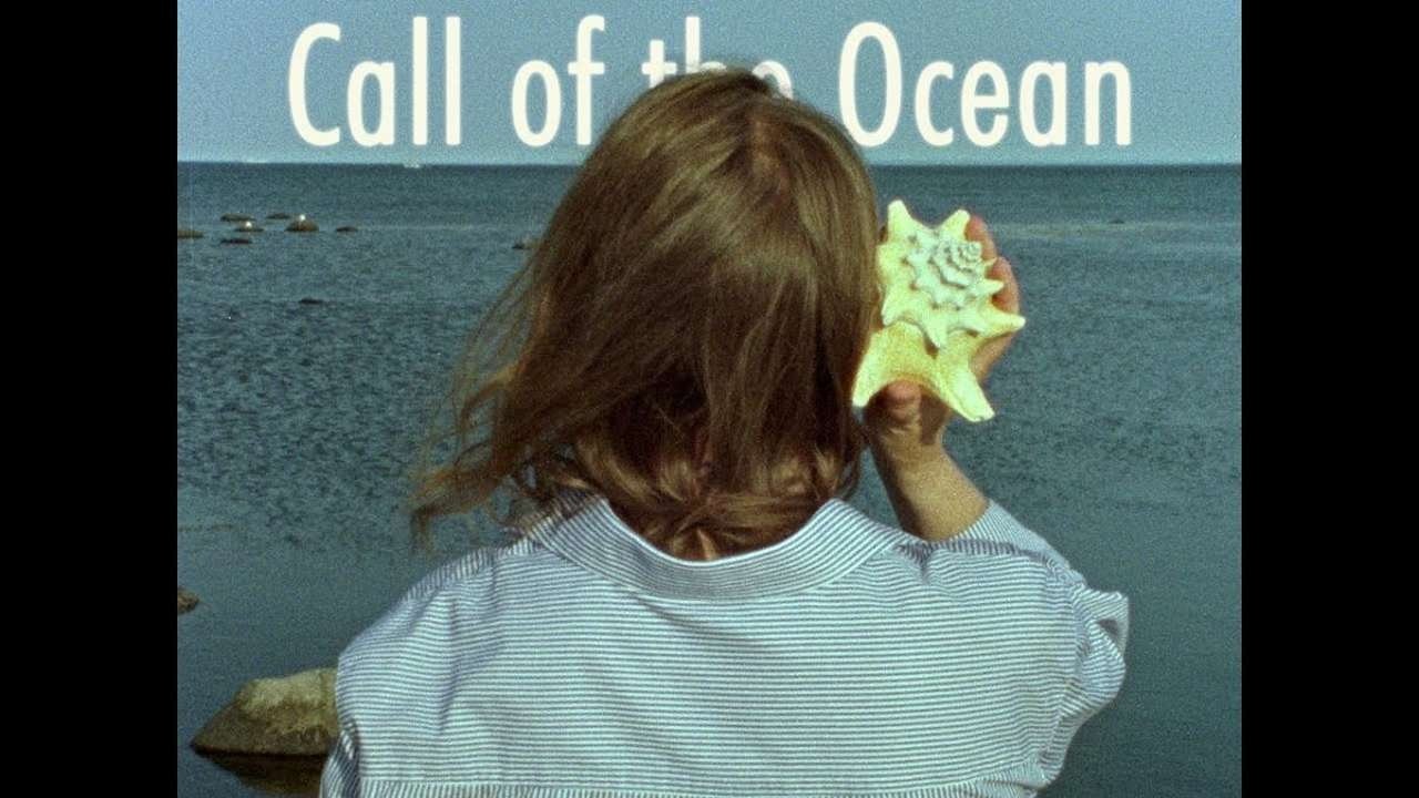مشاهدة فيلم Call of the Ocean مترجم بدون اعلانات - خلفية