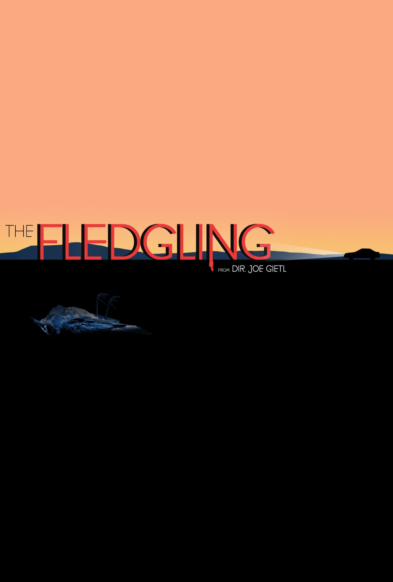 The Fledgling filmaffisch