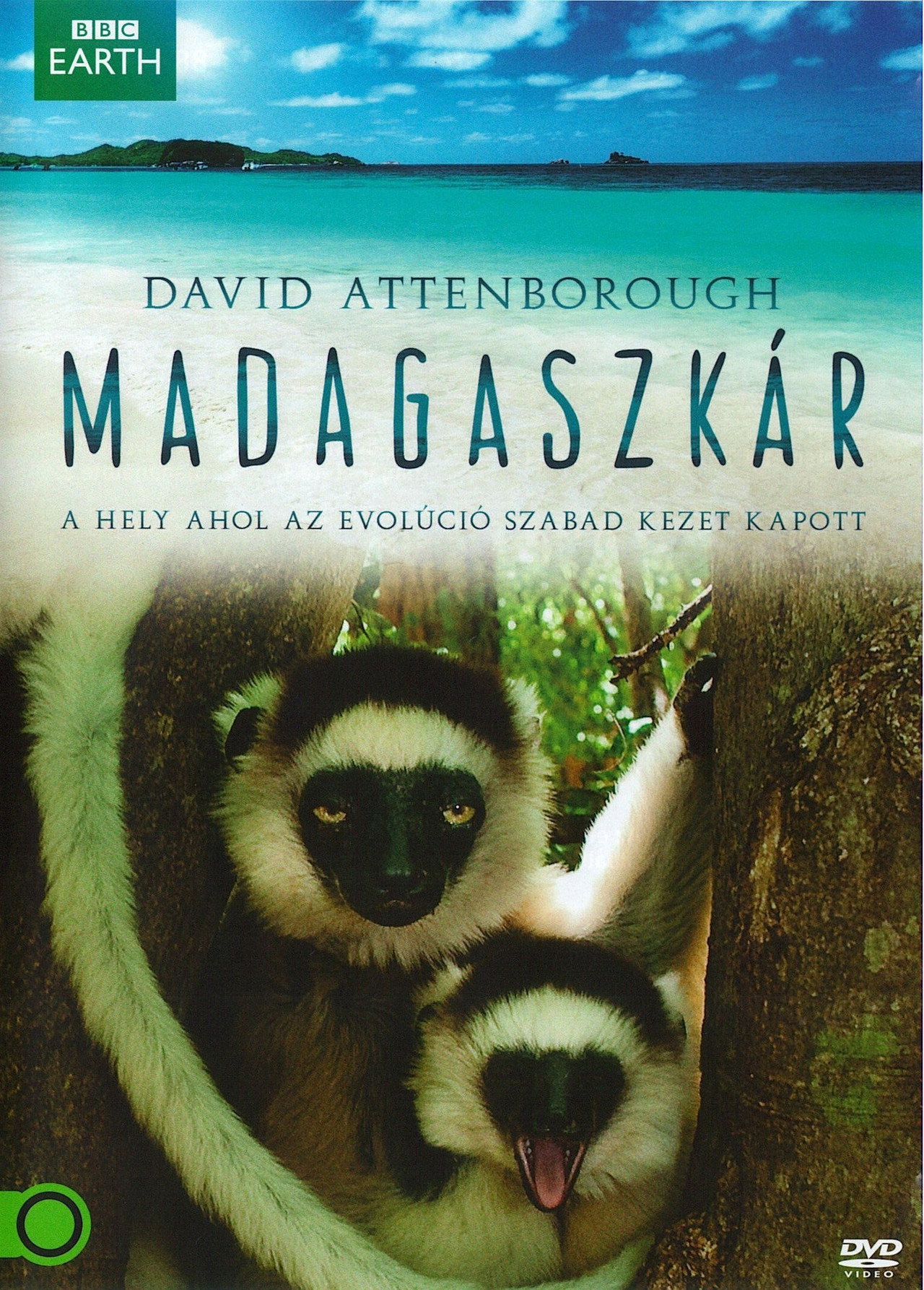 Madagaszkár – plakát 4
