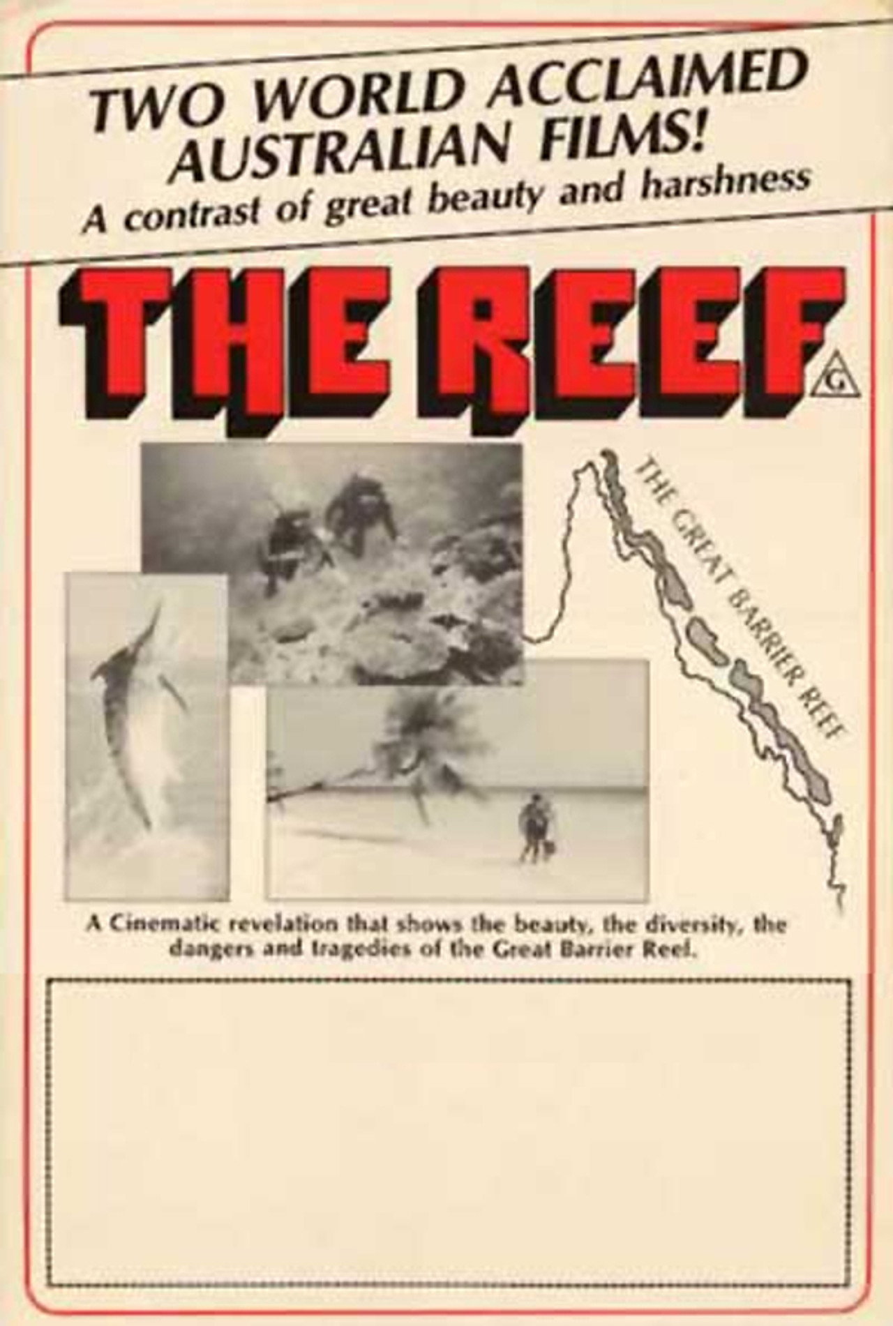The Reef Backdrop