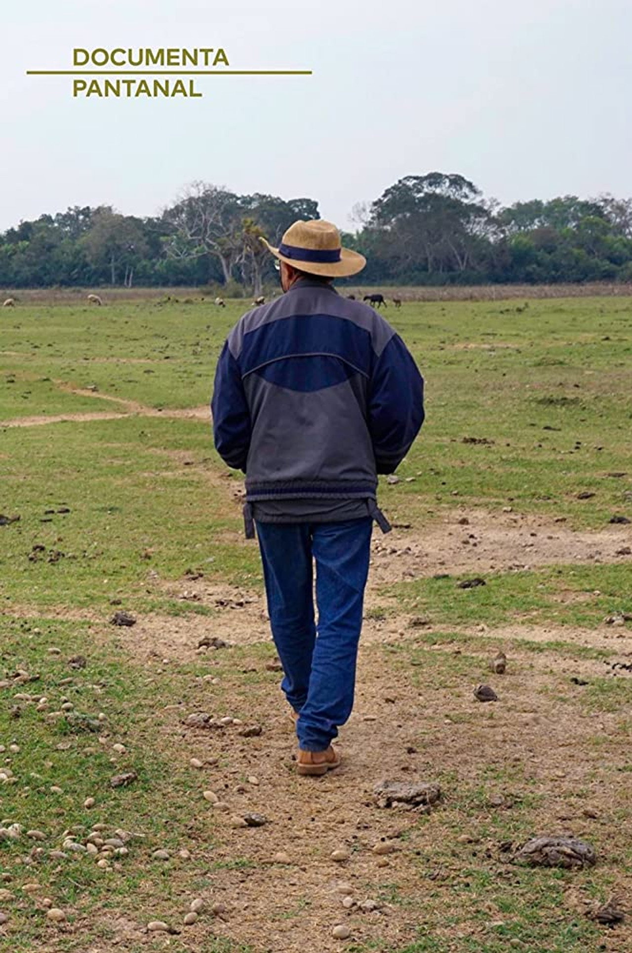 Ruivaldo, O Homem que Salvou a Terra filmaffisch